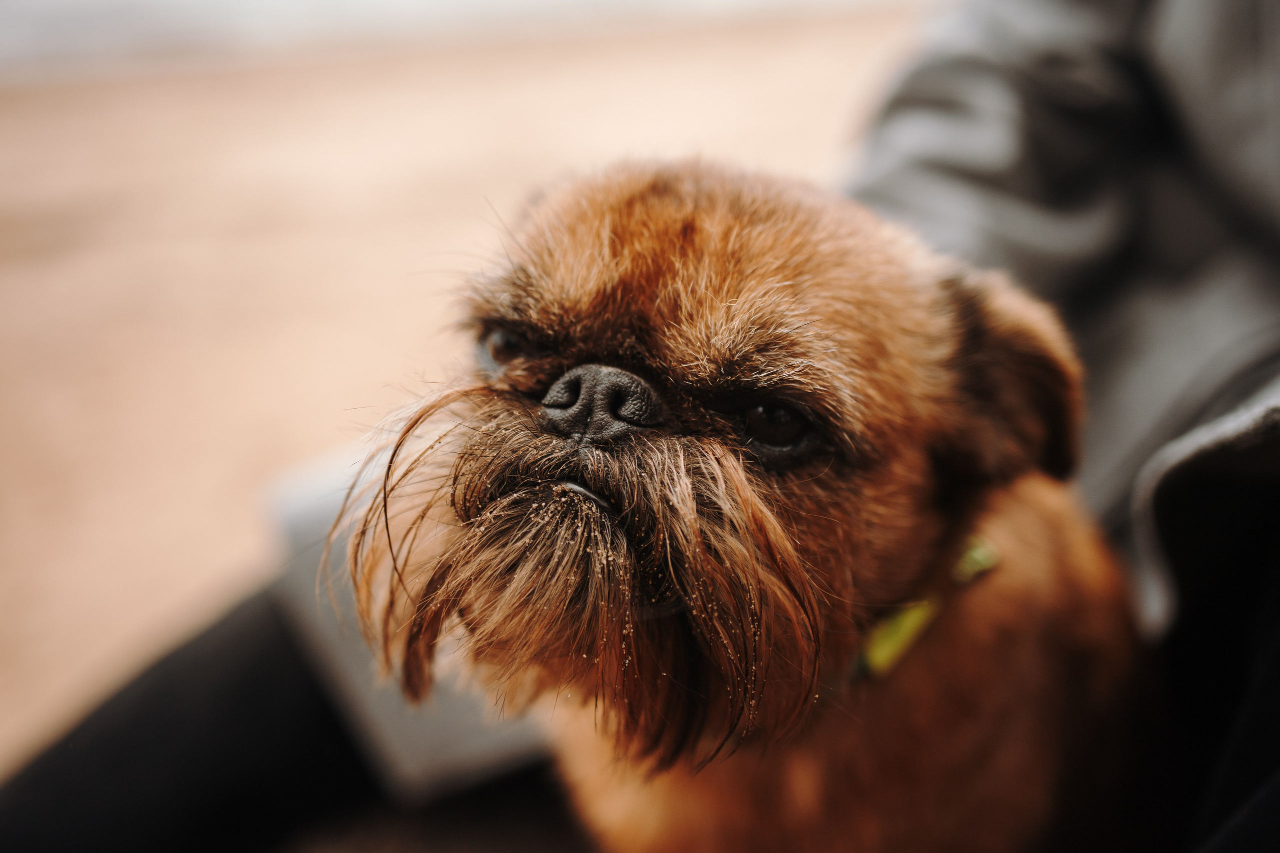 Вера и ее семья. Фотограф — Анималист | Санкт-Петербург