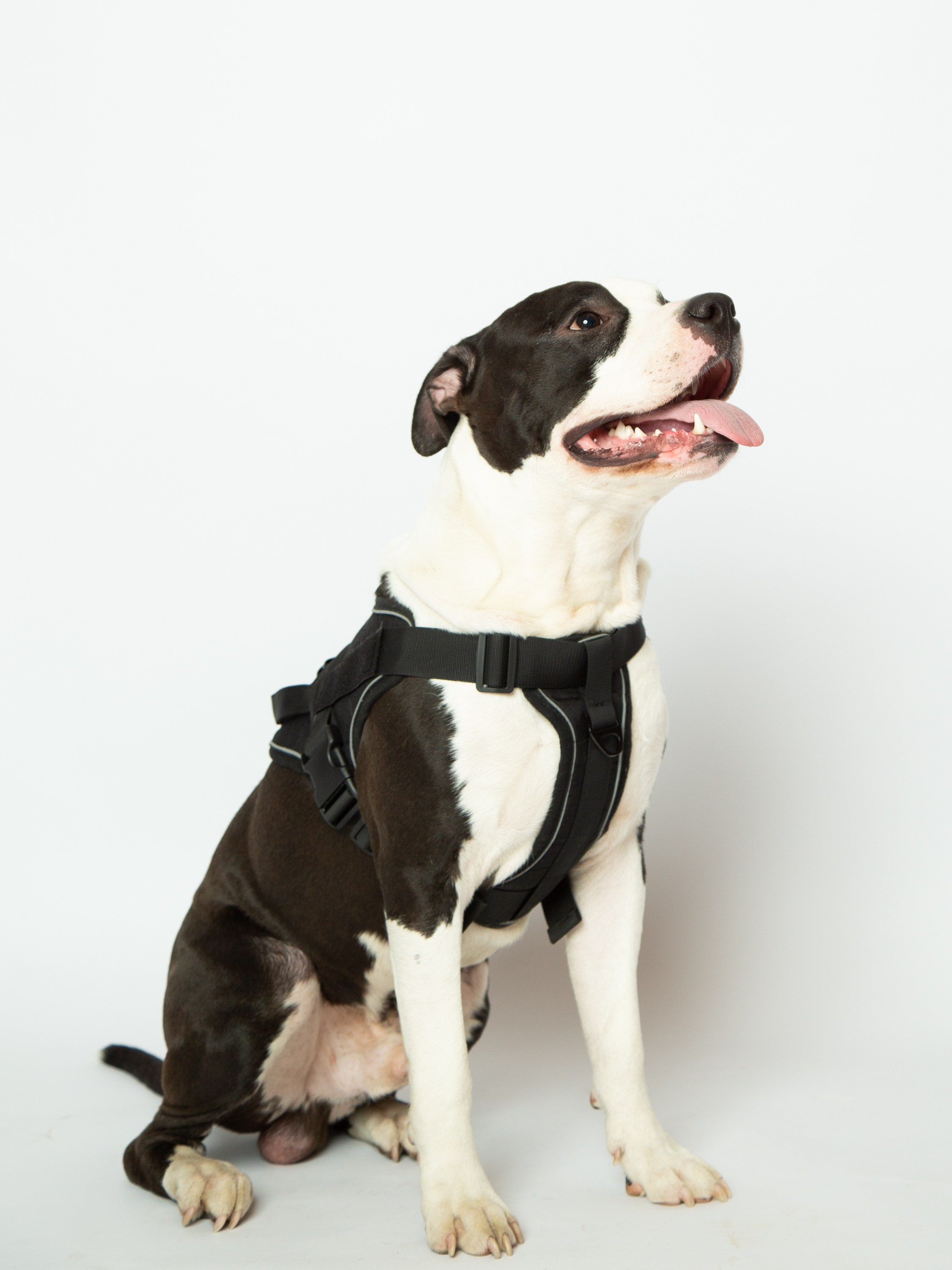 Маркетплейсы WB/OZON/Яндекс Маркет. Свадебный фотограф Москва. Семейный фотограф. Предметная съемка, съемка одежды