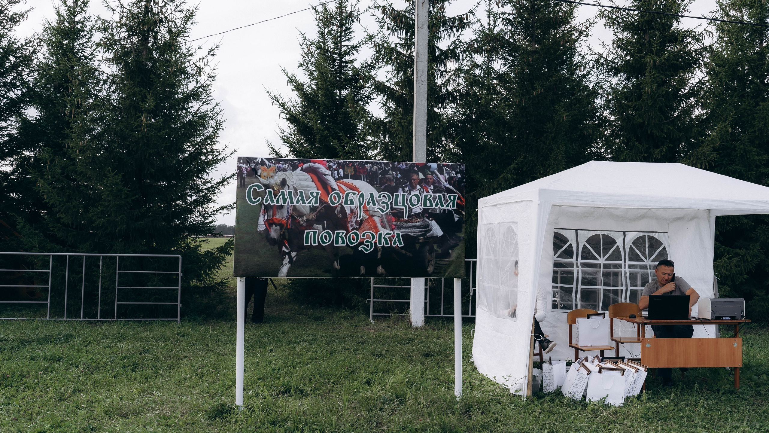 День Коня. Алиса Никитцова | Фотограф в Казани