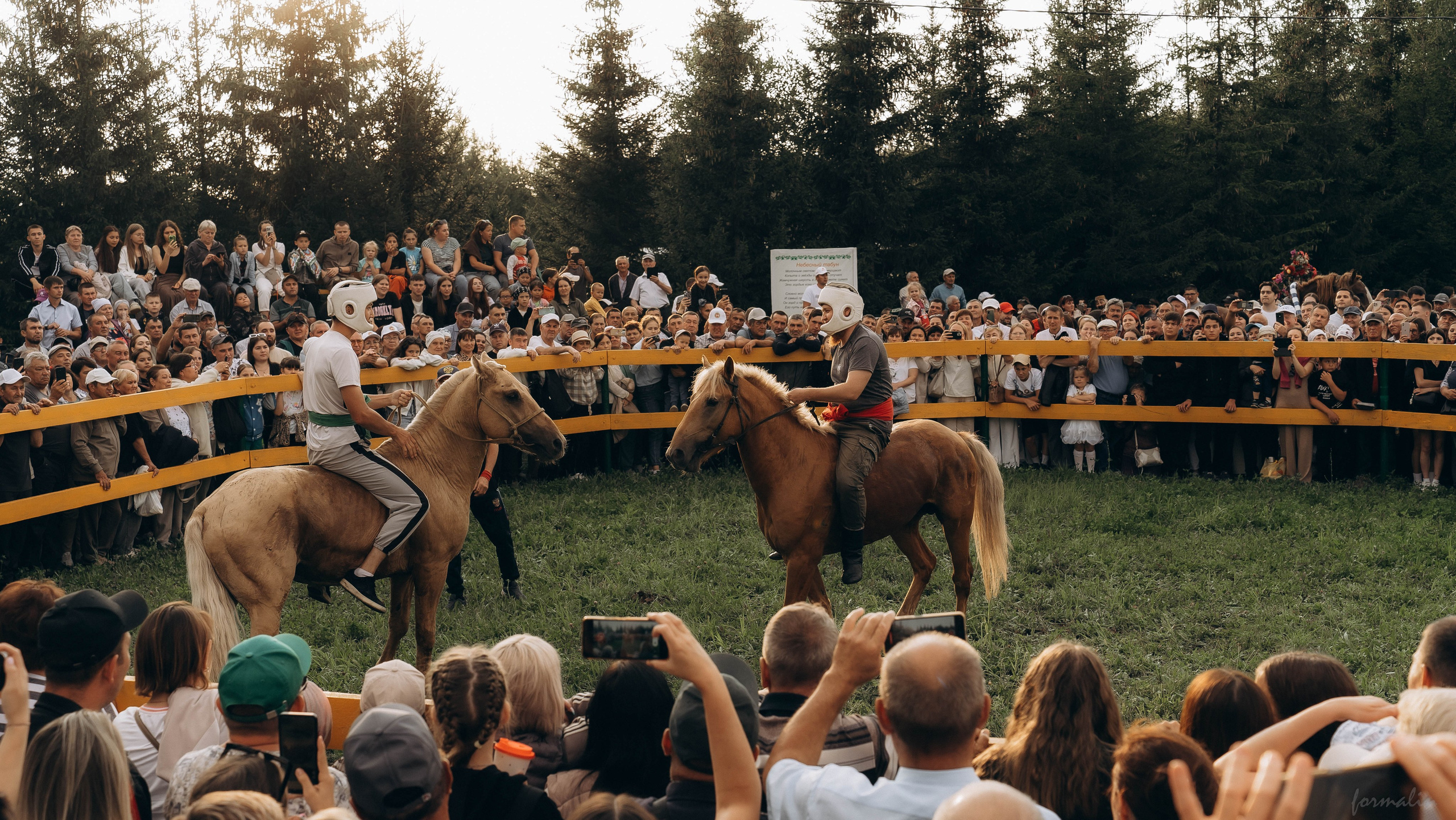 День Коня. Алиса Никитцова | Фотограф в Казани