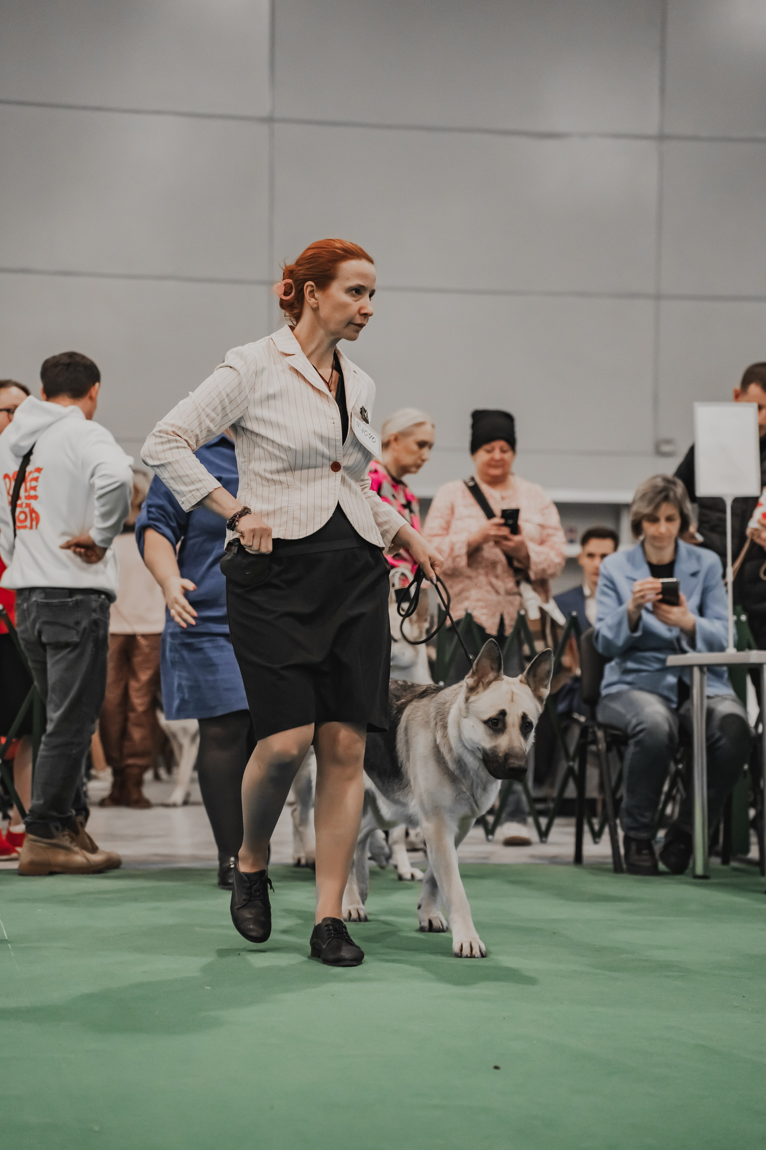 Международная выставка собак всех пород. Репортажный фотограф Анастасия Рубцова