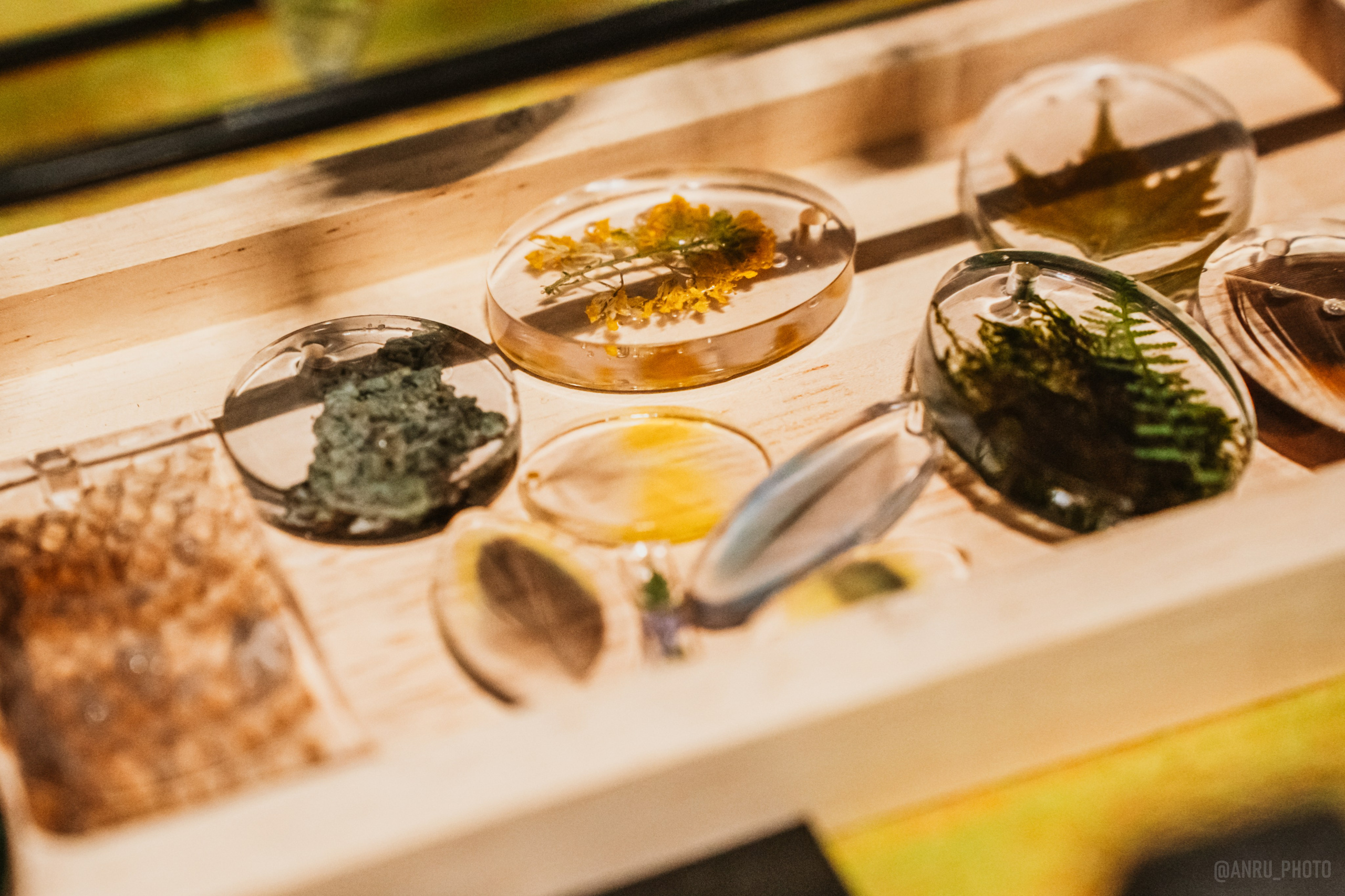 Рептилиум (ручная работа). Репортажный фотограф Анастасия Рубцова