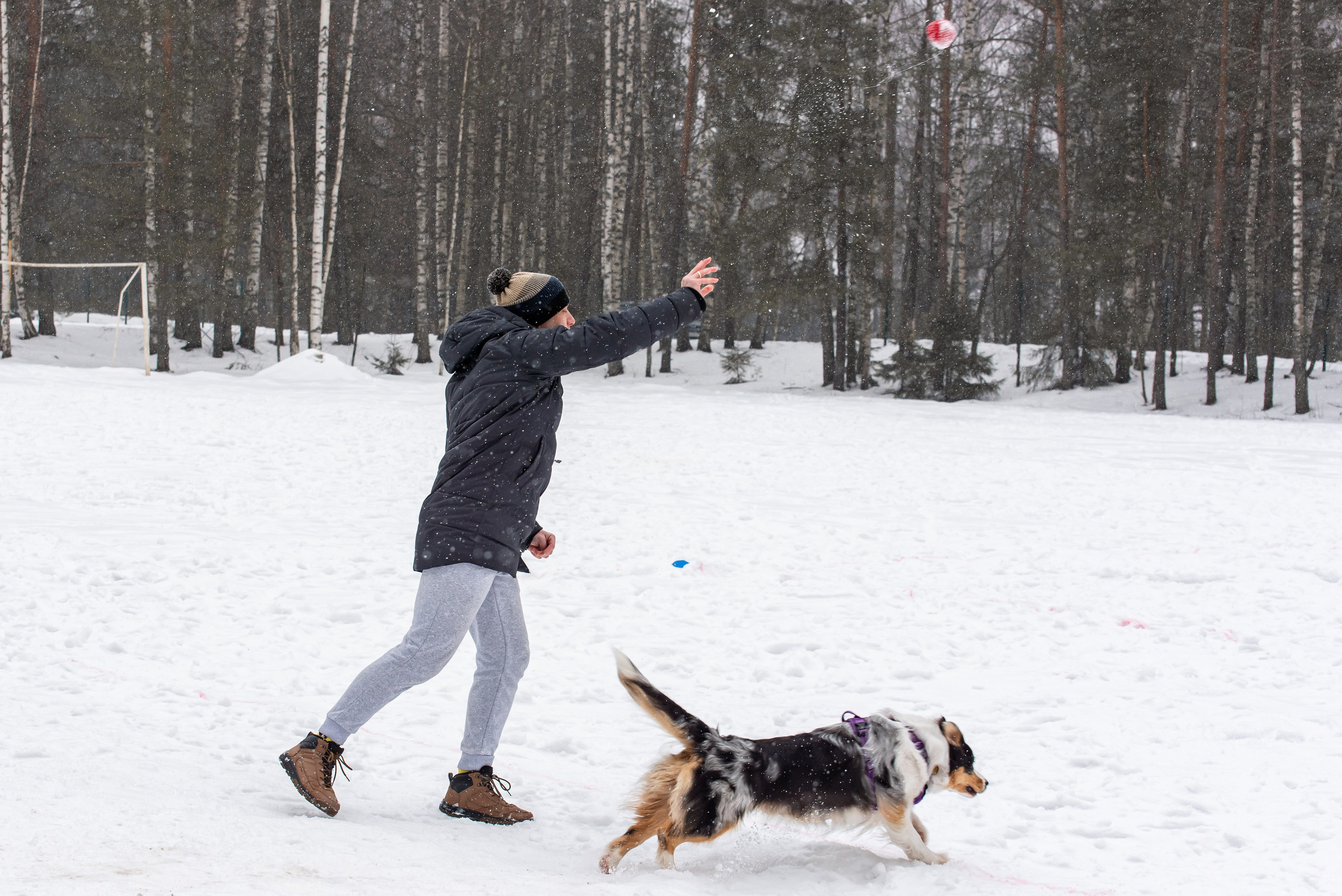 Фотосъёмка с собаками в Кинологическом лагере. Фотограф Макс Огурцов в Нижнем Новгороде