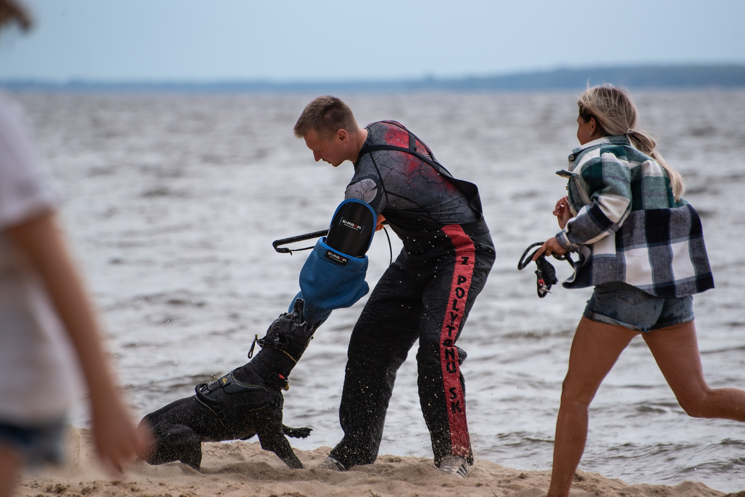 Всплеск эмоций 2023 Кинологический фестиваль. Фотограф Макс Огурцов в Нижнем Новгороде