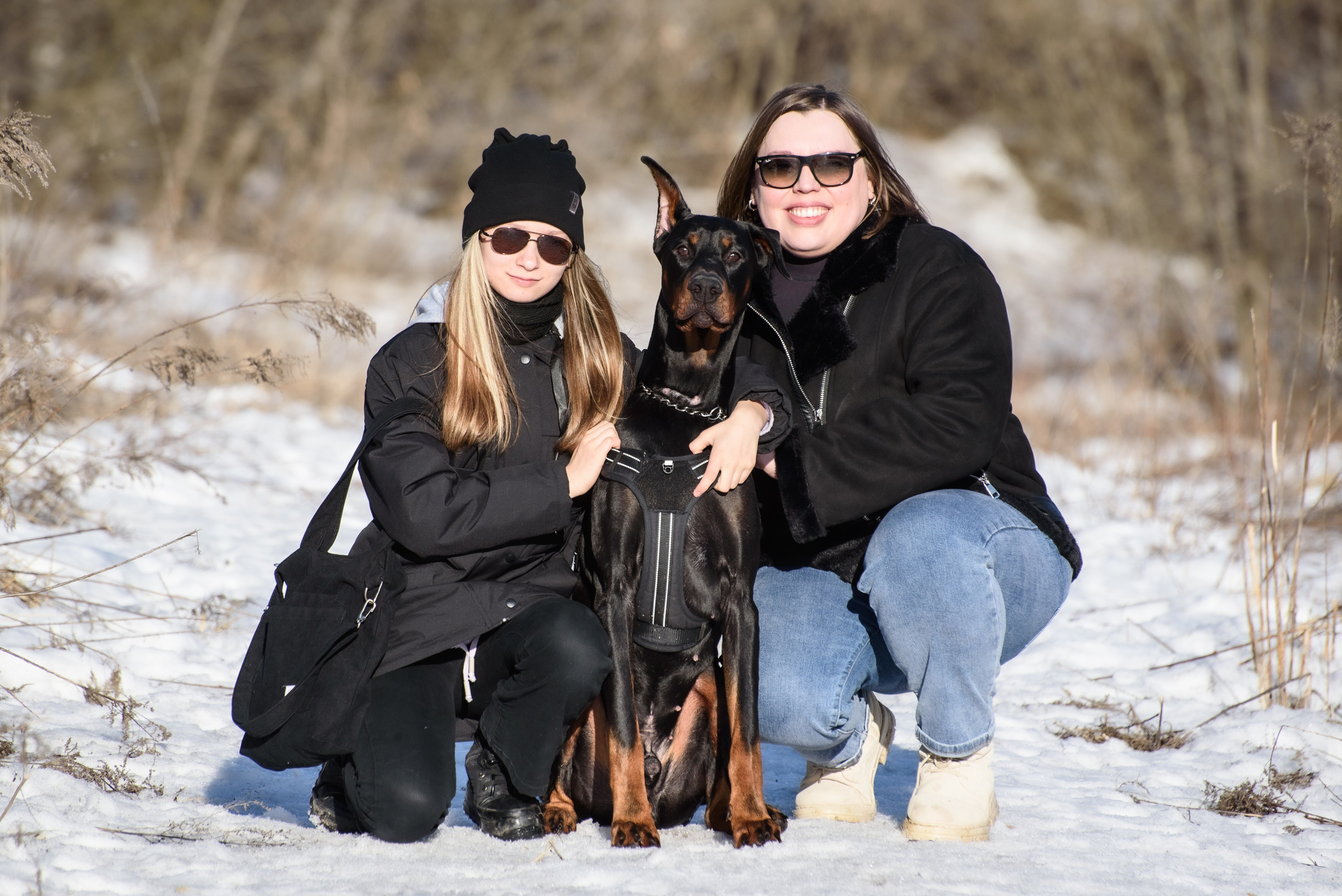 Фотосессию с любимым доберманом. Фотограф Макс Огурцов в Нижнем Новгороде