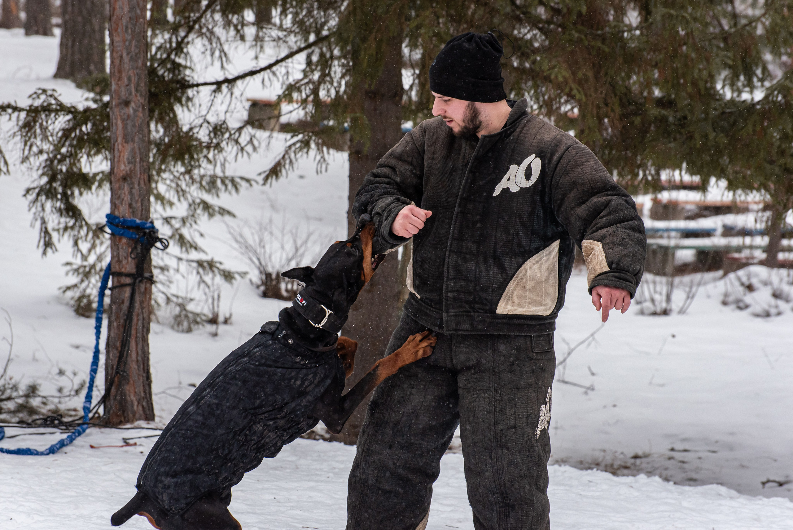Фотосъёмка с собаками в Кинологическом лагере. Фотограф Макс Огурцов в Нижнем Новгороде