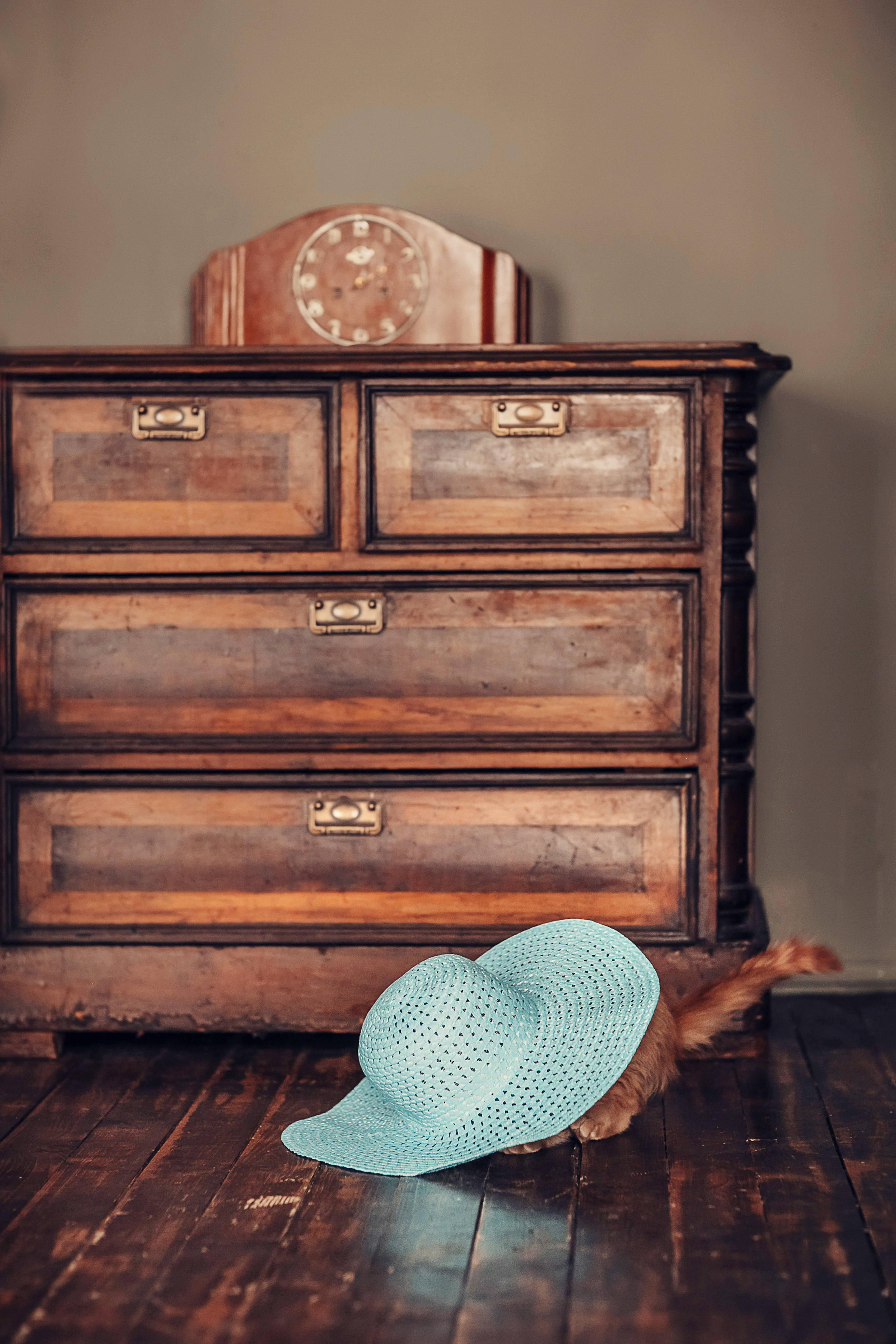 Живая Шляпа. Детский и семейный фотограф в Москве Анна Ипатьева