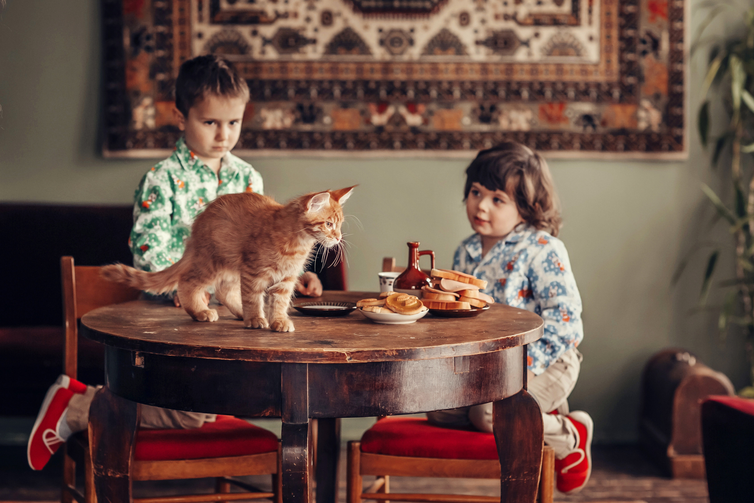Живая Шляпа. Детский и семейный фотограф в Москве Анна Ипатьева