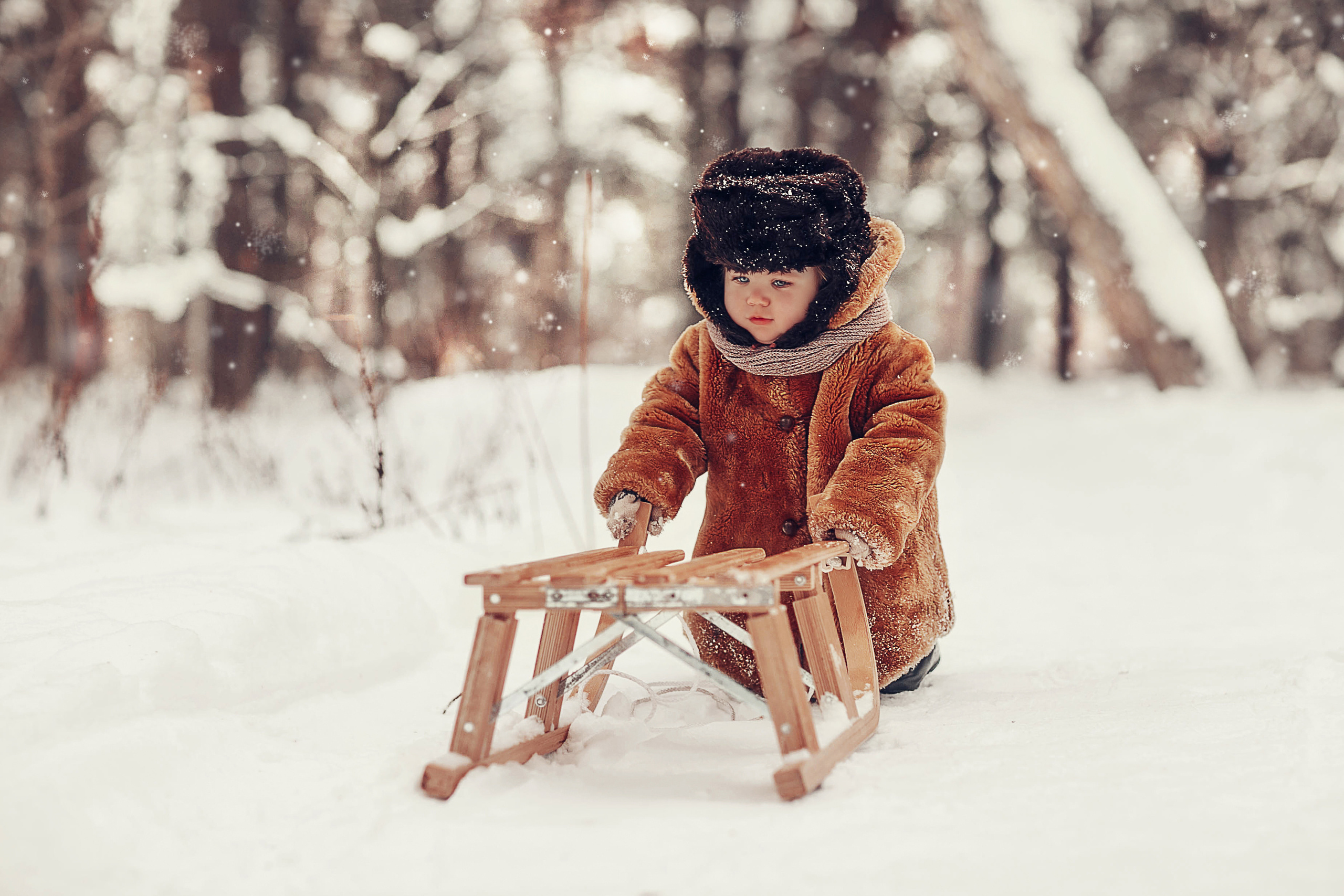 За ёлкой. Детский и семейный фотограф в Москве Анна Ипатьева