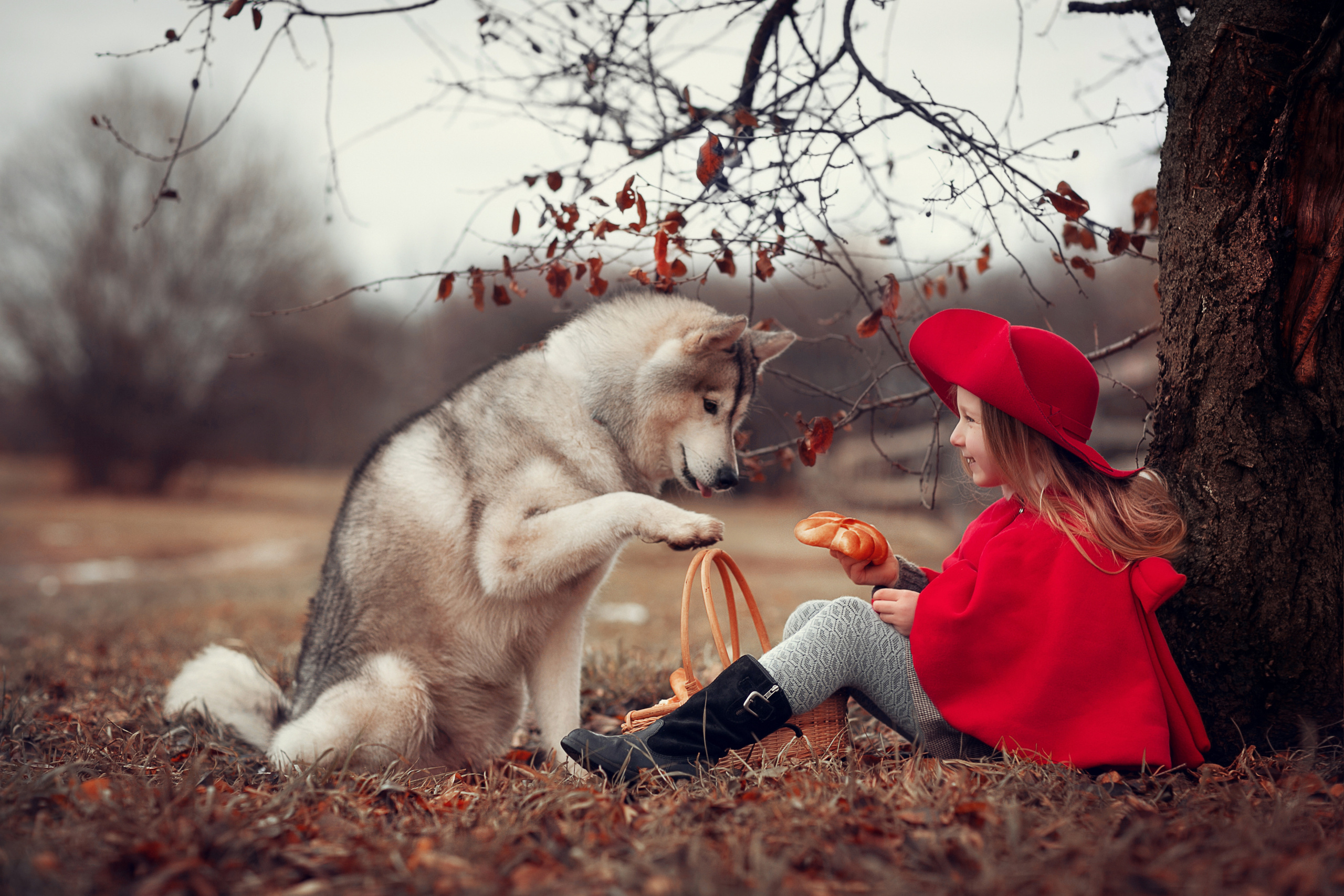 Красная Шляпочка. Детский и семейный фотограф в Москве Анна Ипатьева