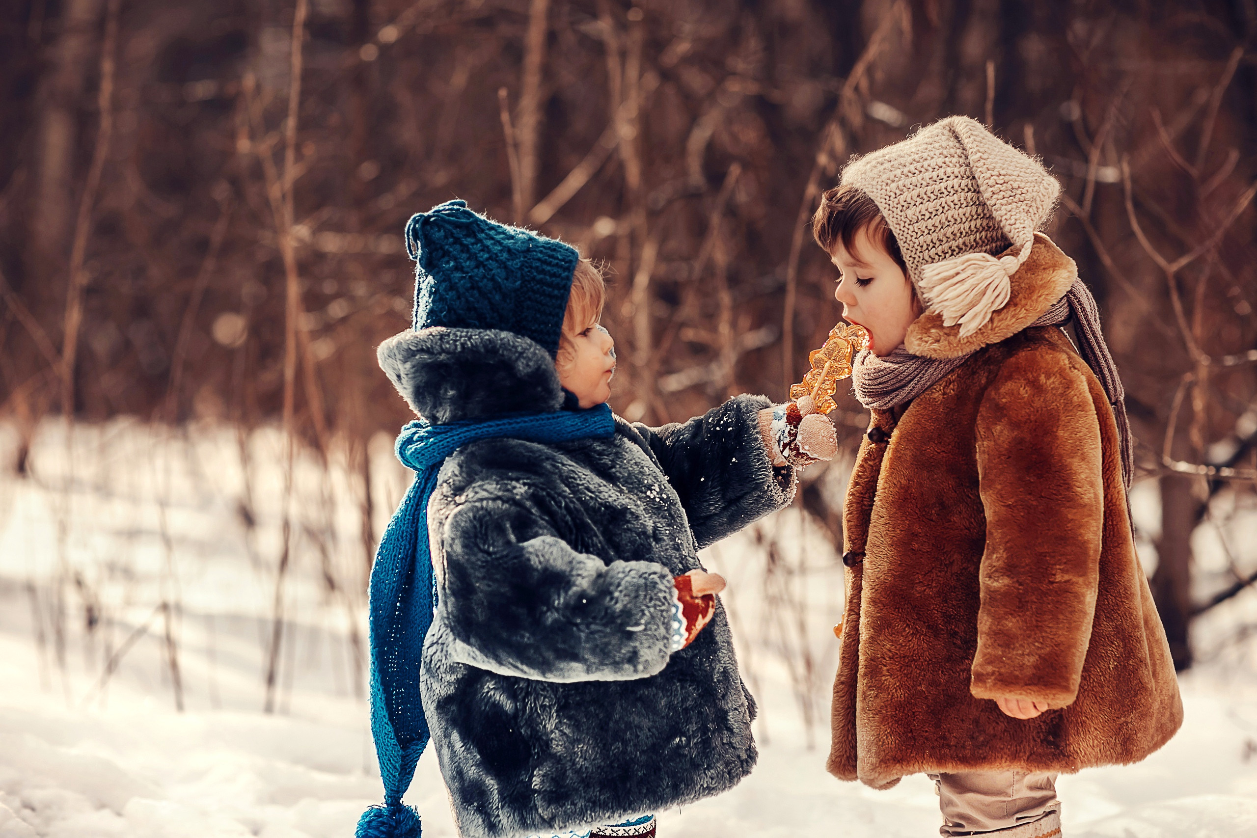 Скворечники. Детский и семейный фотограф в Москве Анна Ипатьева