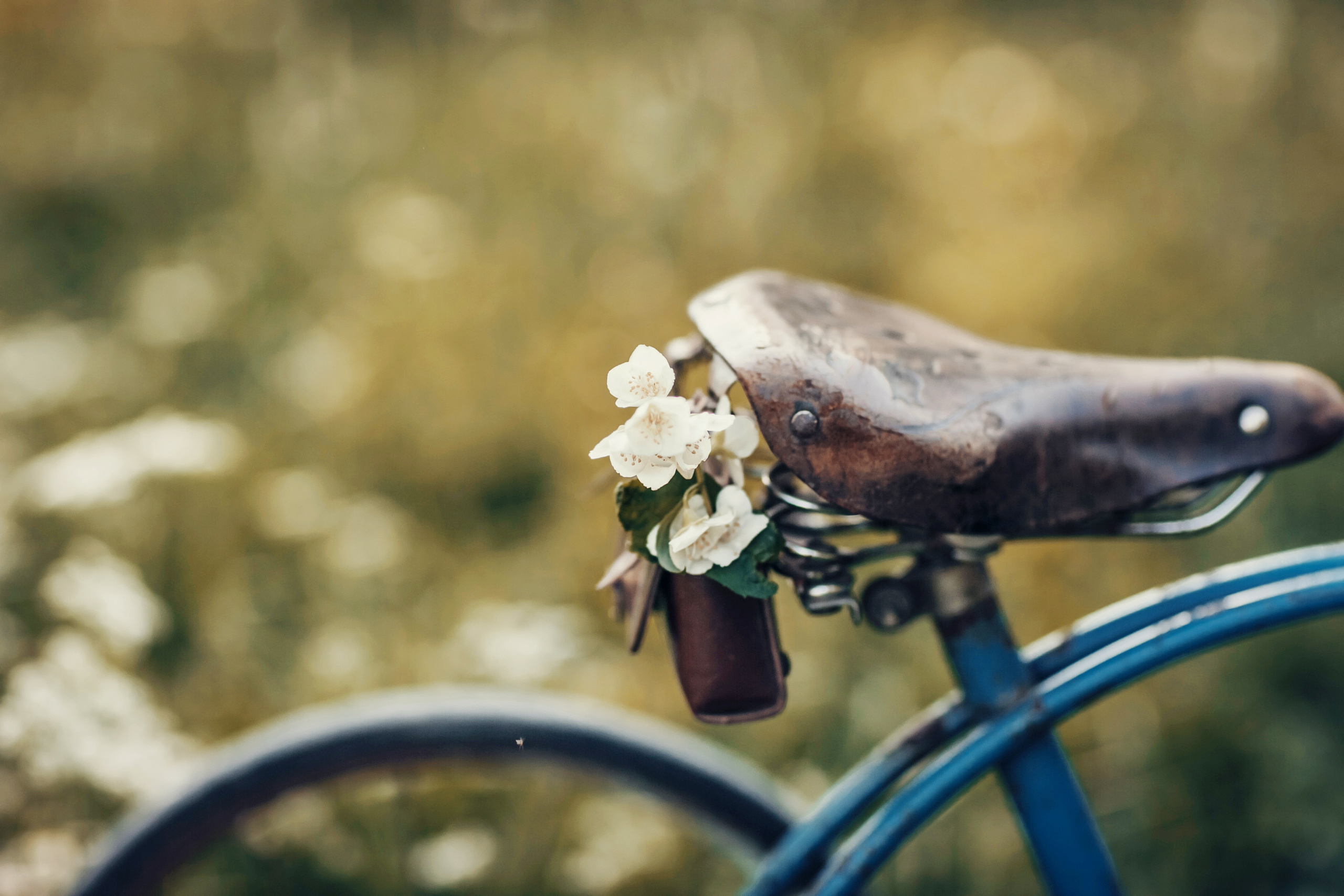 Ветерок. Детский и семейный фотограф в Москве Анна Ипатьева