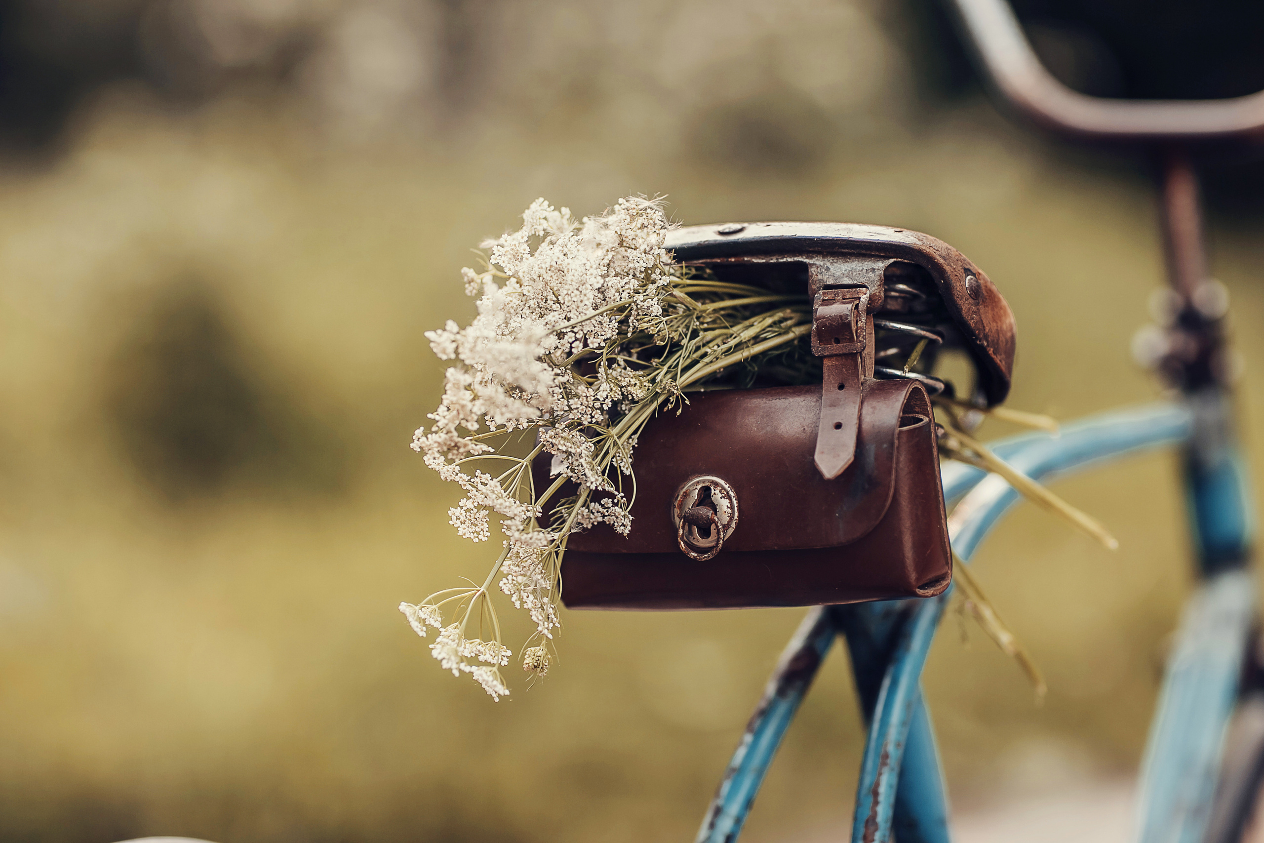 Ветерок. Детский и семейный фотограф в Москве Анна Ипатьева