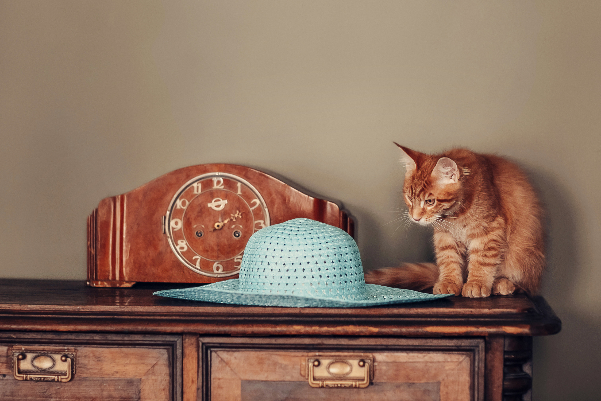 Живая Шляпа. Детский и семейный фотограф в Москве Анна Ипатьева