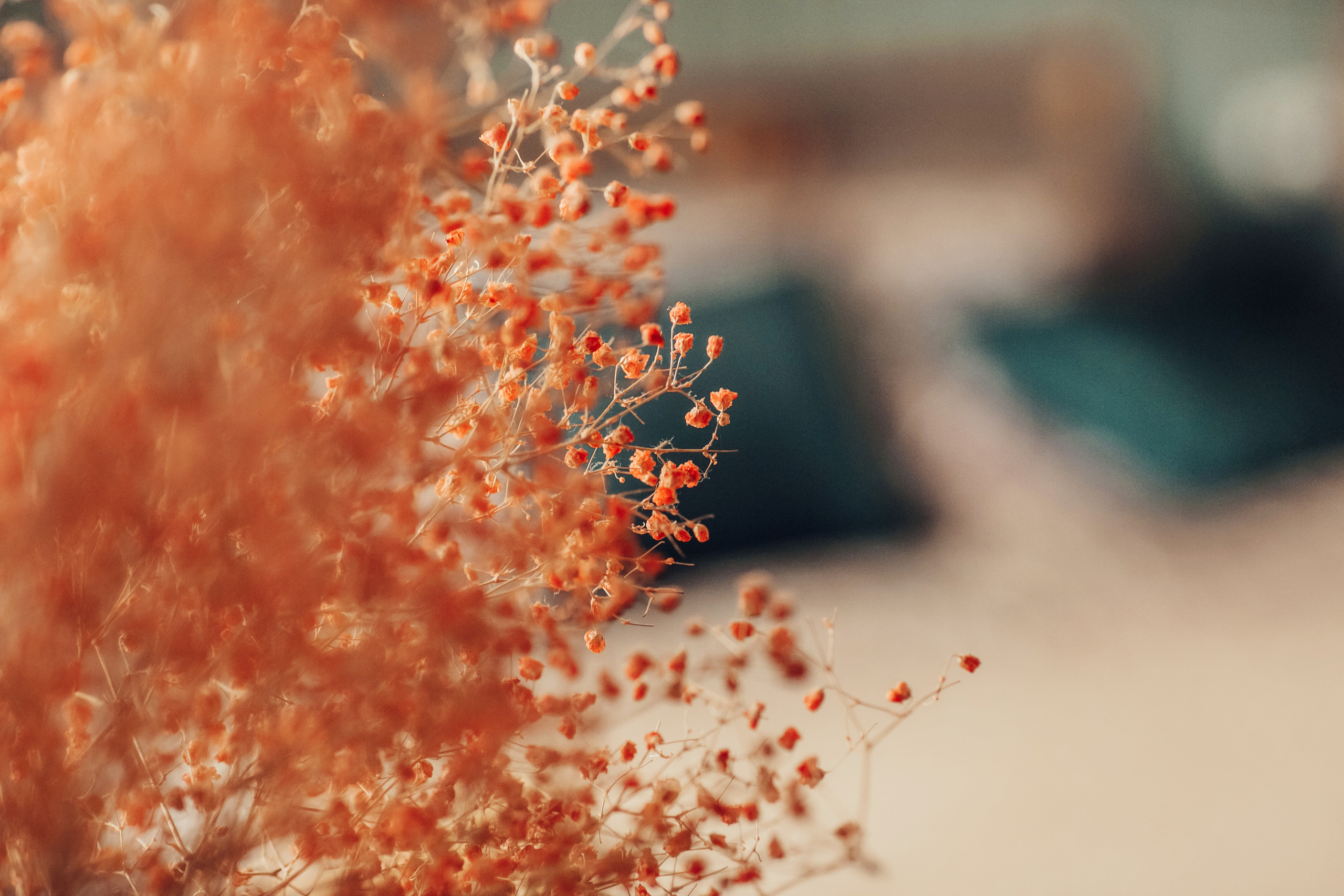 Люся, Андрей, Ян и Софа. Детский и семейный фотограф в Москве Анна Ипатьева