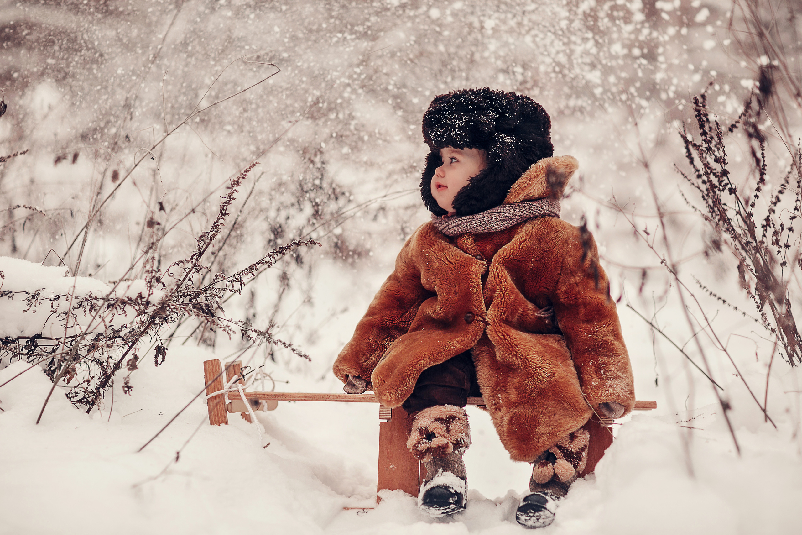 За ёлкой. Детский и семейный фотограф в Москве Анна Ипатьева