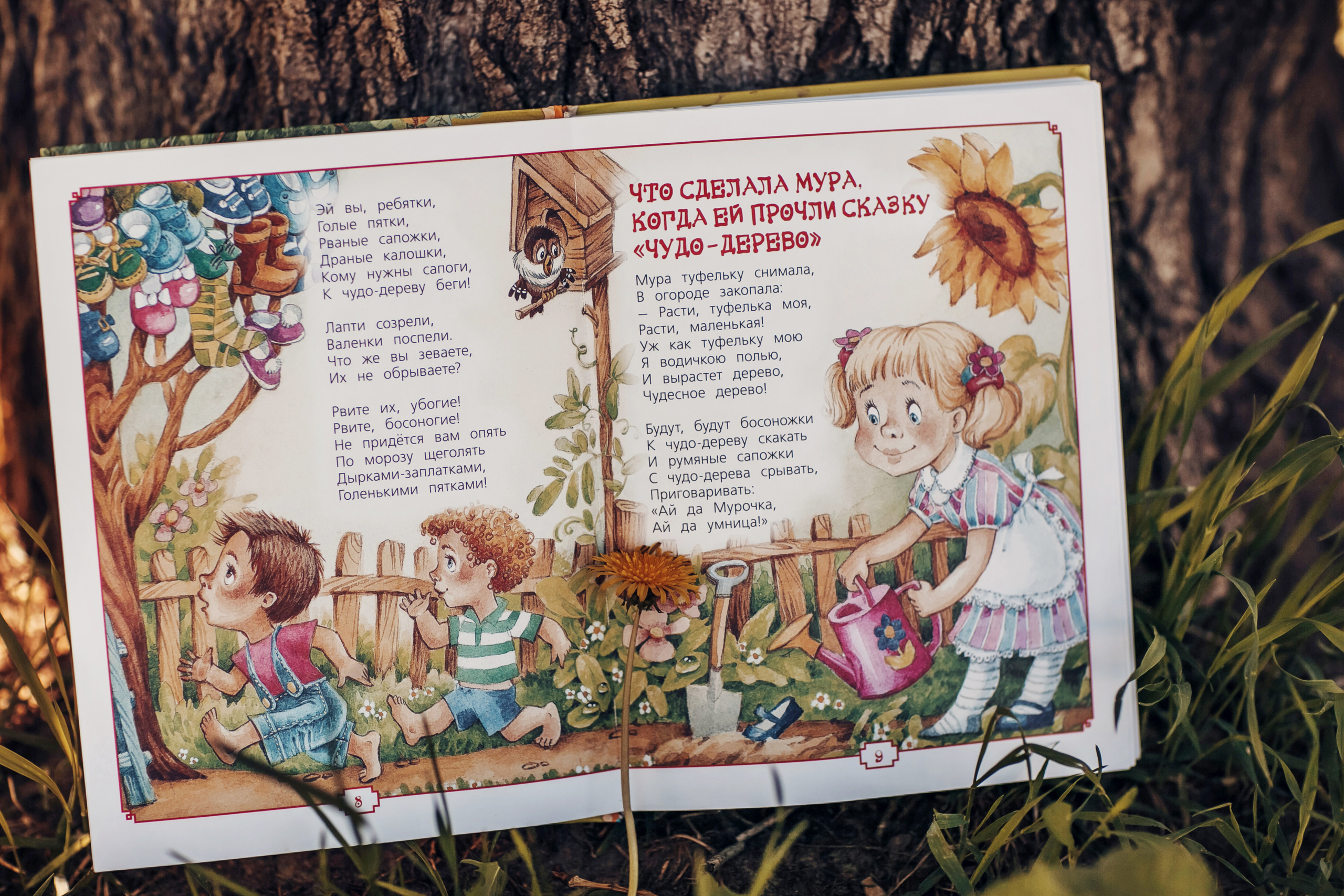 Чудо-дерево. Детский и семейный фотограф в Москве Анна Ипатьева