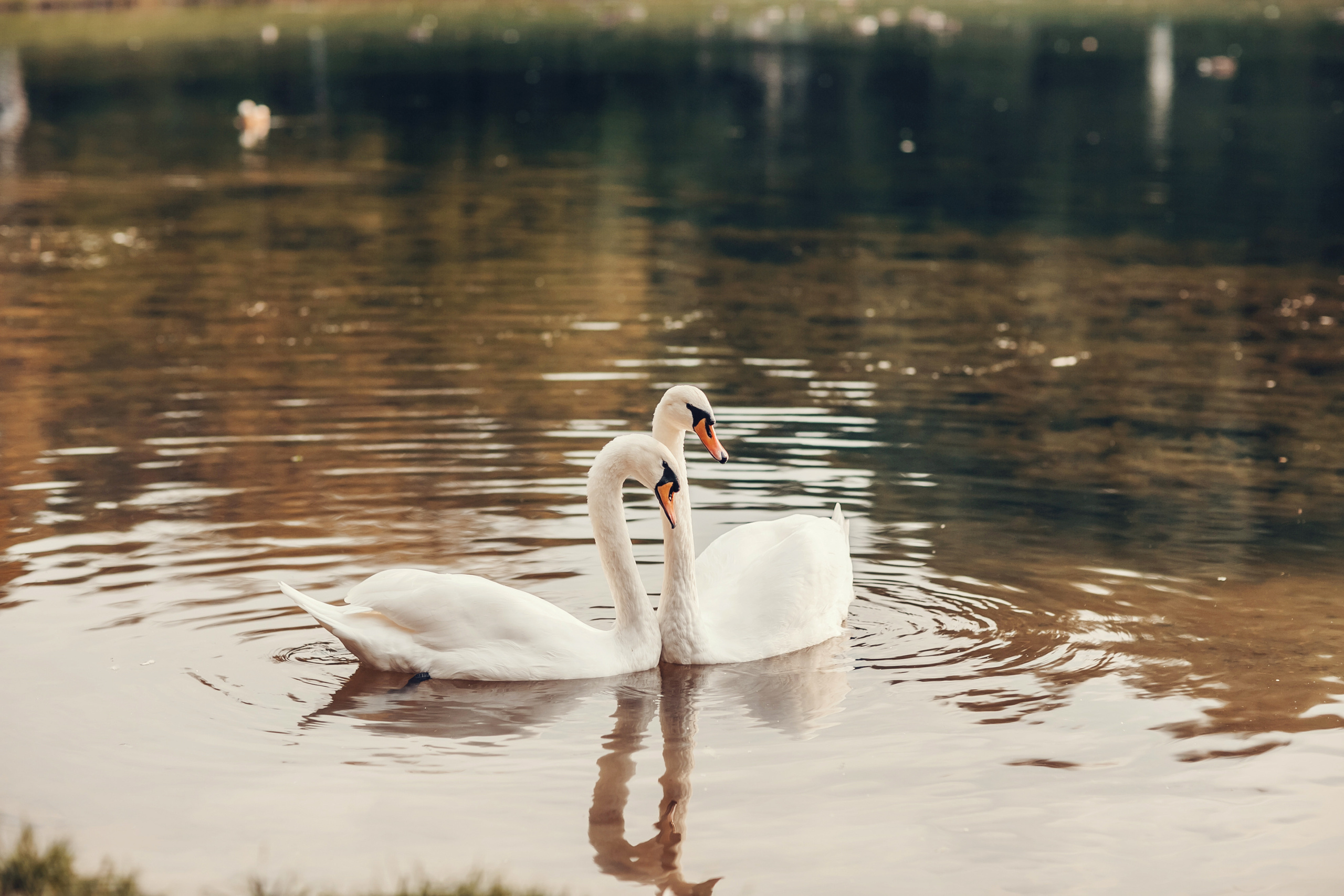 Надежда, Максим, Агния и Аля. Детский и семейный фотограф в Москве Анна Ипатьева