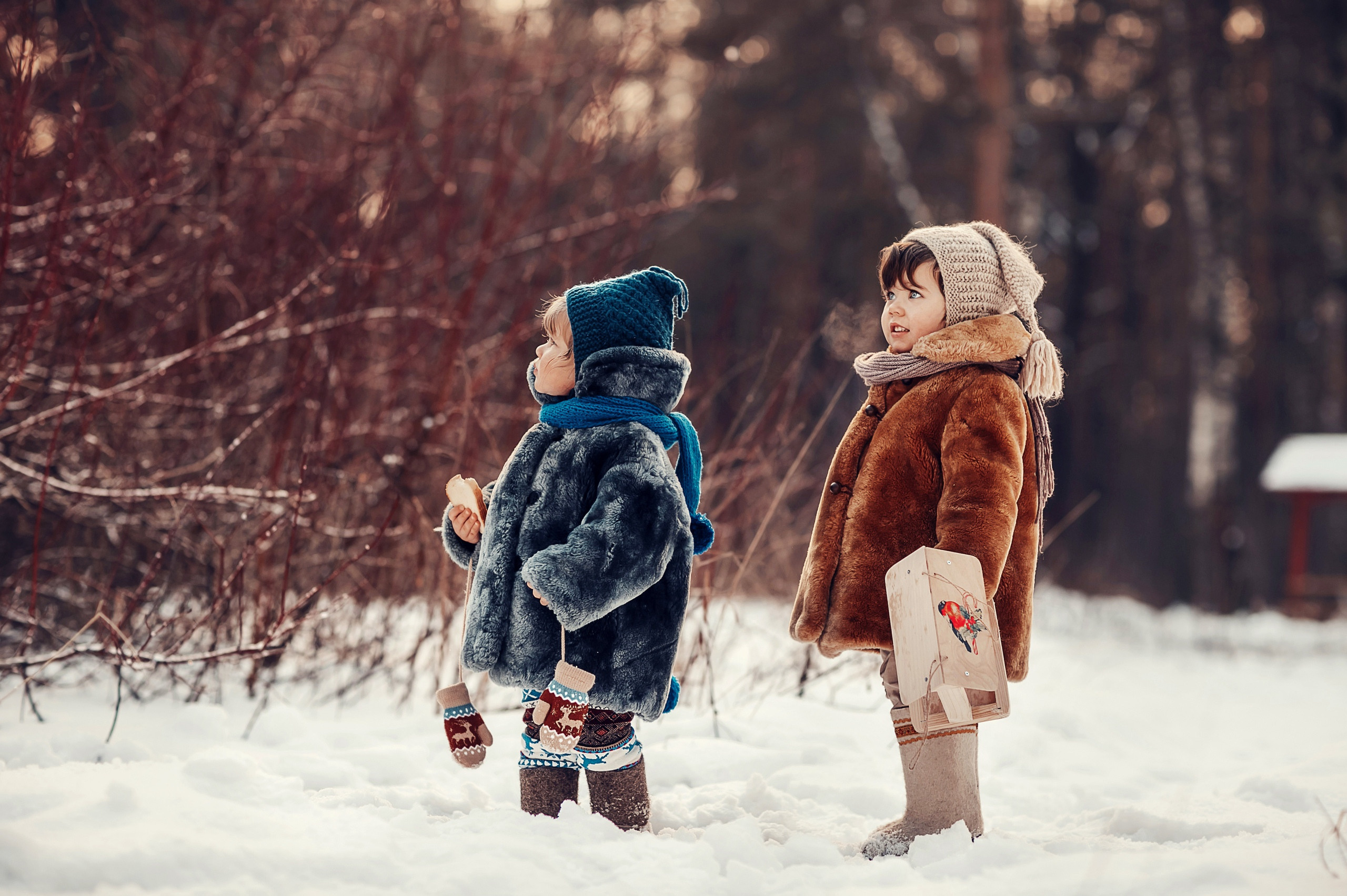 Скворечники. Детский и семейный фотограф в Москве Анна Ипатьева