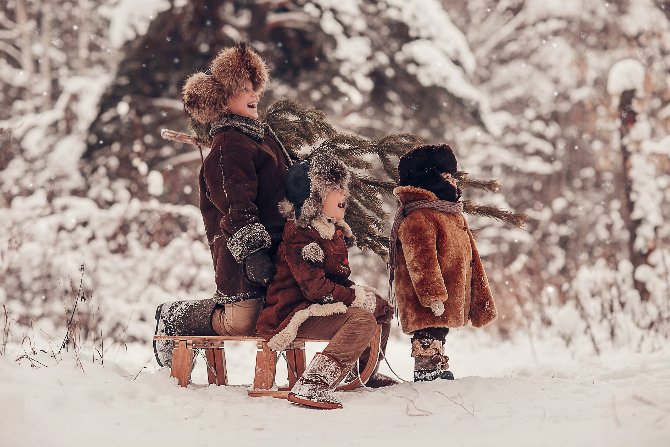 За ёлкой. Детский и семейный фотограф в Москве Анна Ипатьева