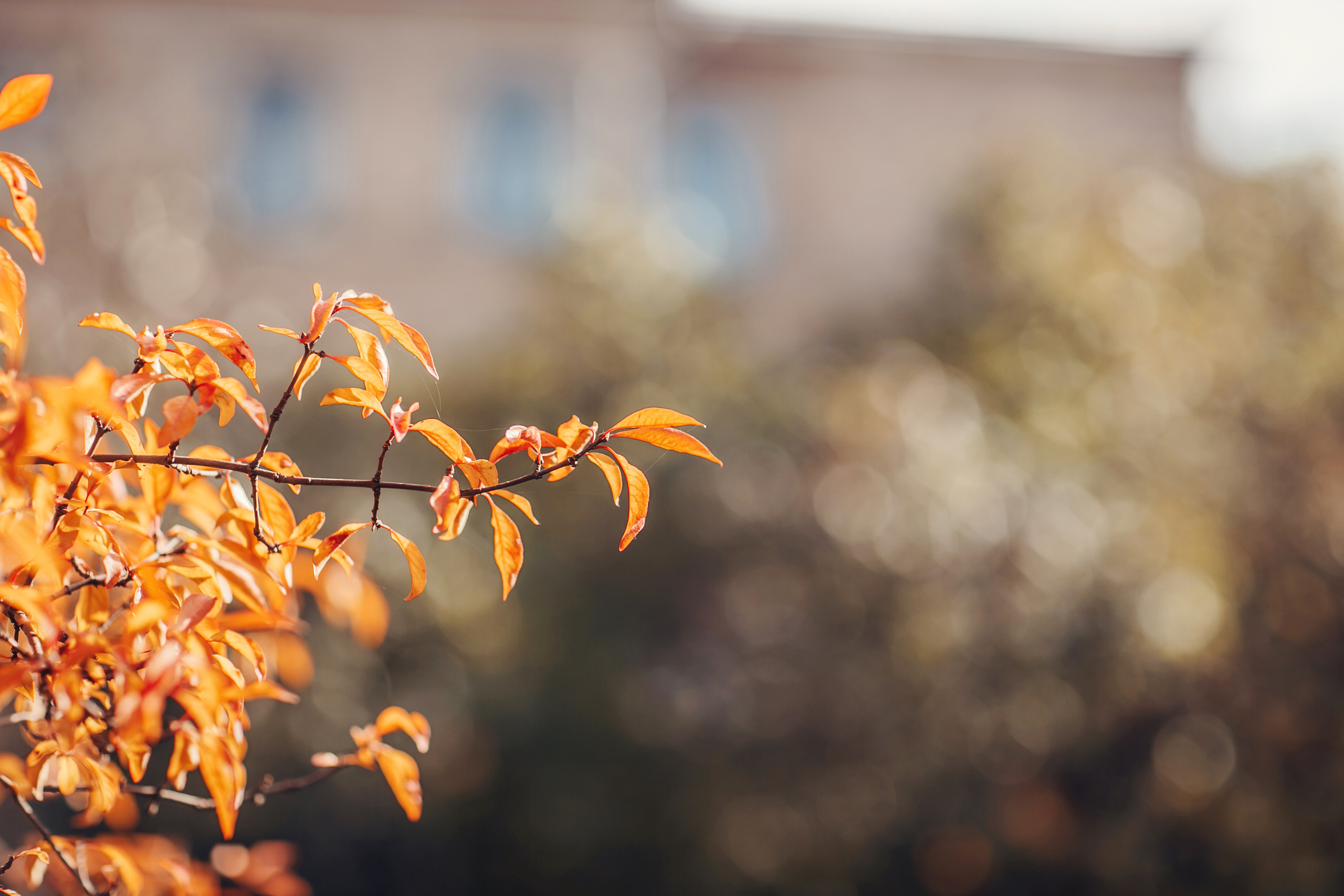 София, Люба и Габриэль. Детский и семейный фотограф в Москве Анна Ипатьева
