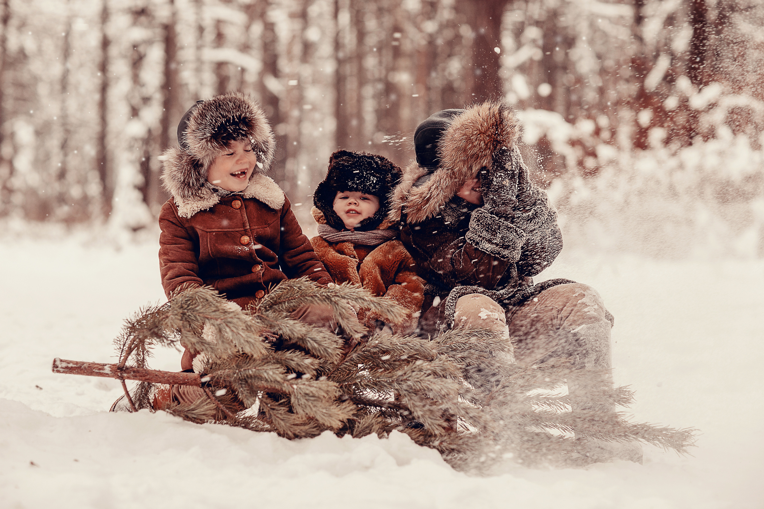 За ёлкой. Детский и семейный фотограф в Москве Анна Ипатьева