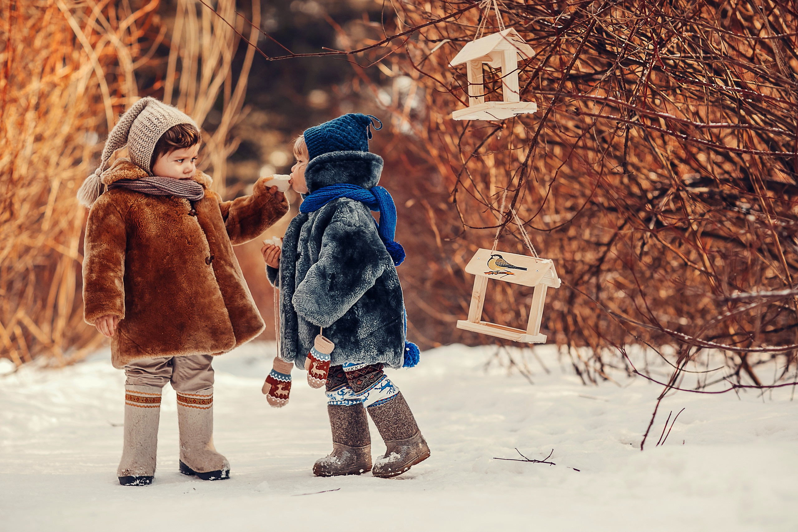 Скворечники. Детский и семейный фотограф в Москве Анна Ипатьева
