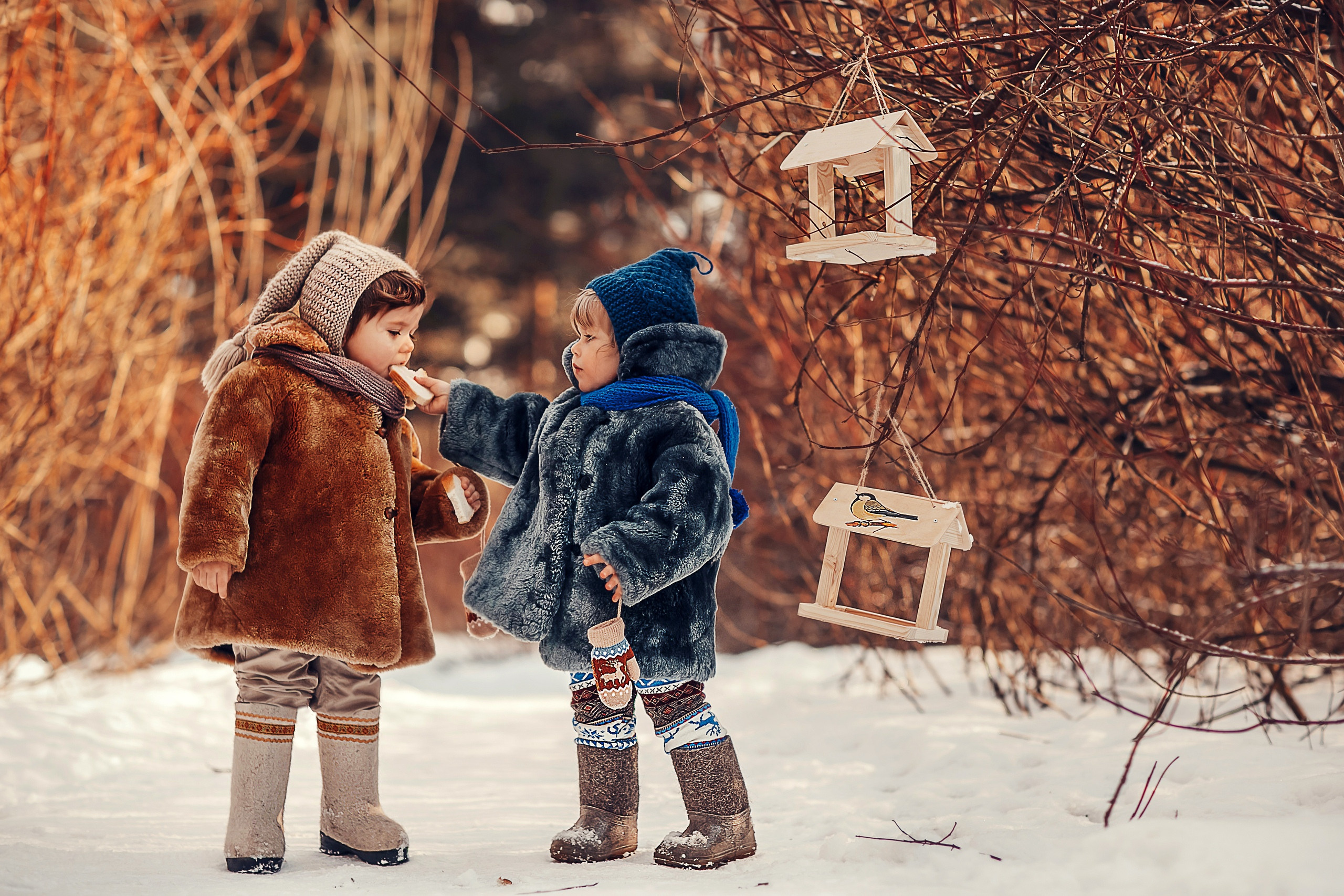 Скворечники. Детский и семейный фотограф в Москве Анна Ипатьева