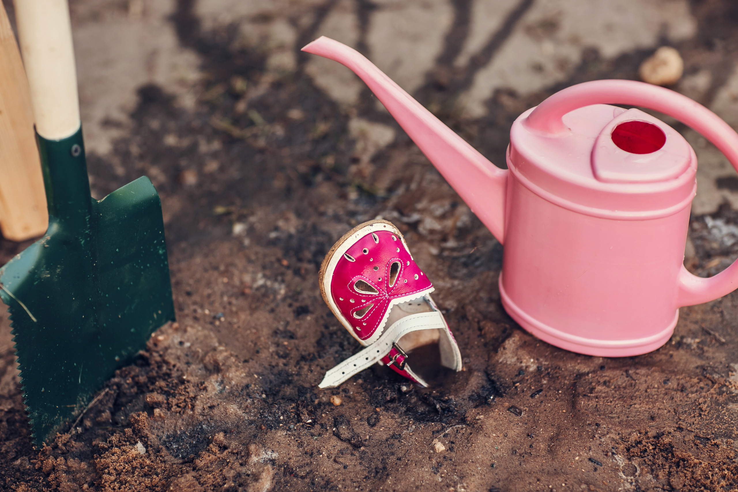 Чудо-дерево. Детский и семейный фотограф в Москве Анна Ипатьева