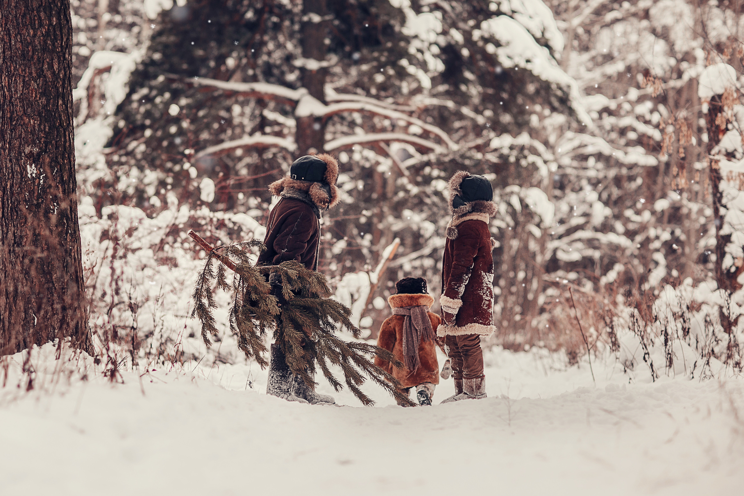 За ёлкой. Детский и семейный фотограф в Москве Анна Ипатьева