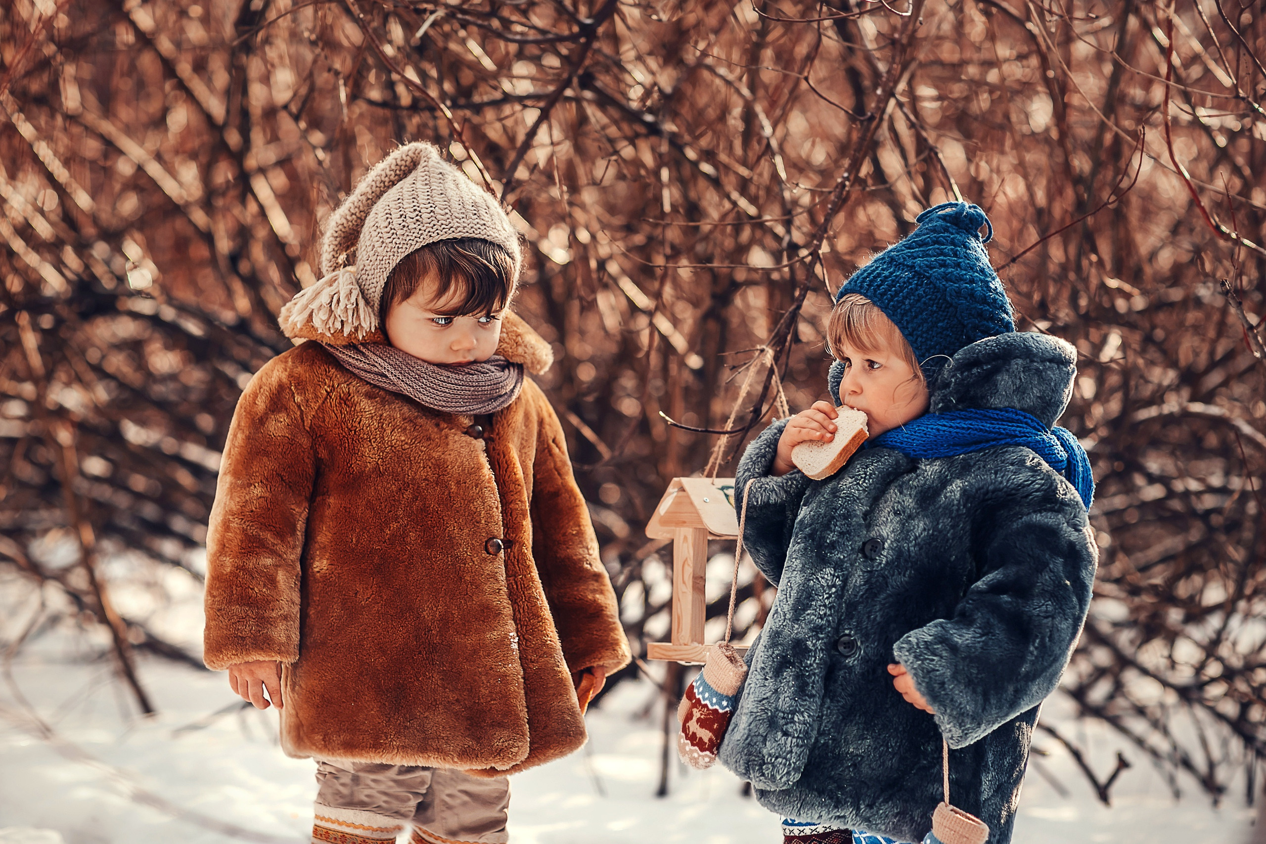 Скворечники. Детский и семейный фотограф в Москве Анна Ипатьева