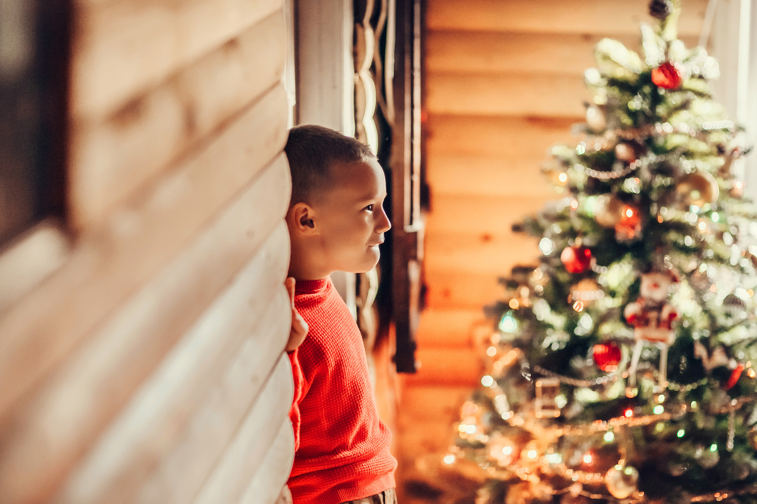 Home alone. Детский и семейный фотограф в Москве Анна Ипатьева