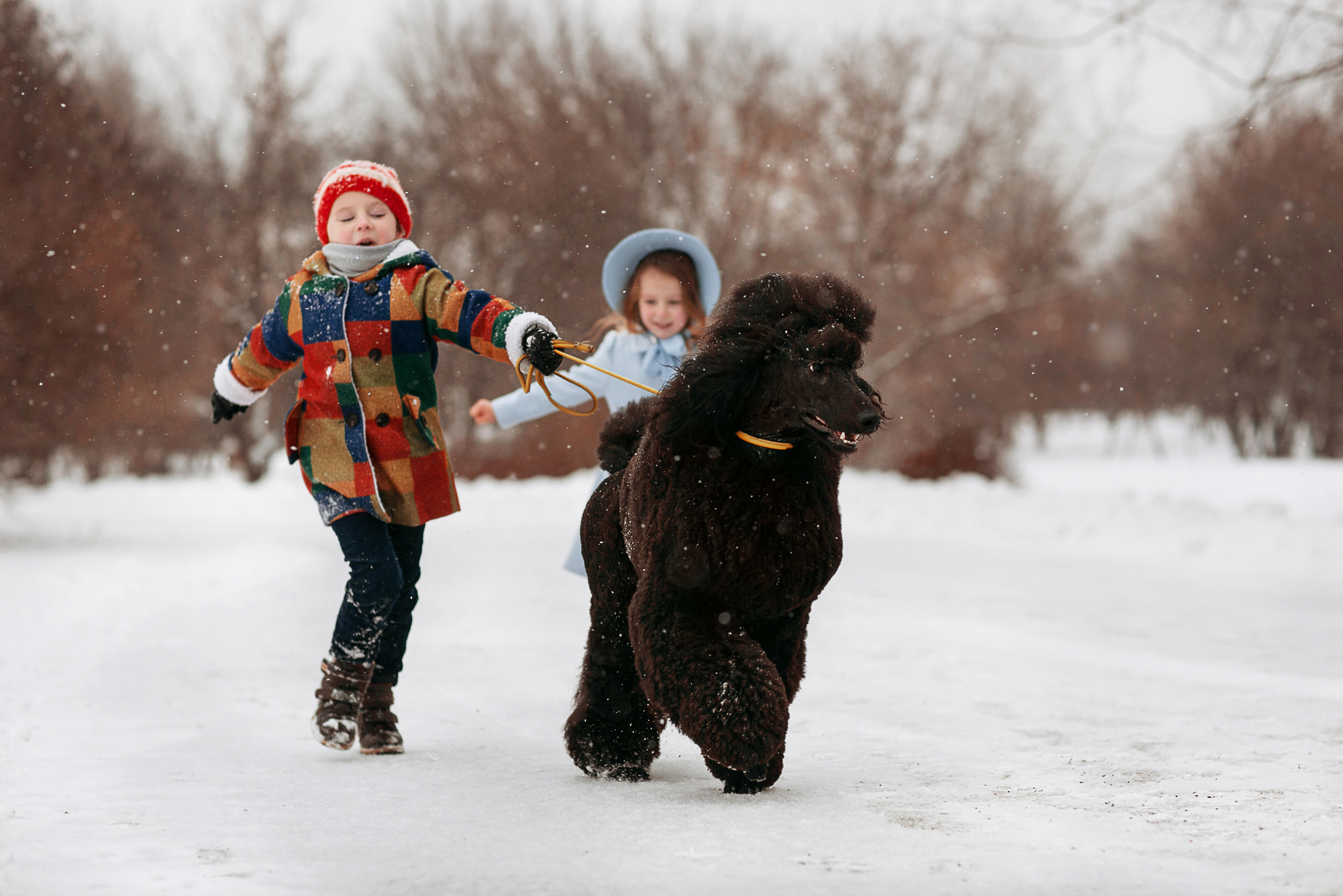 Зимний Буратино. Детский и семейный фотограф в Москве Анна Ипатьева