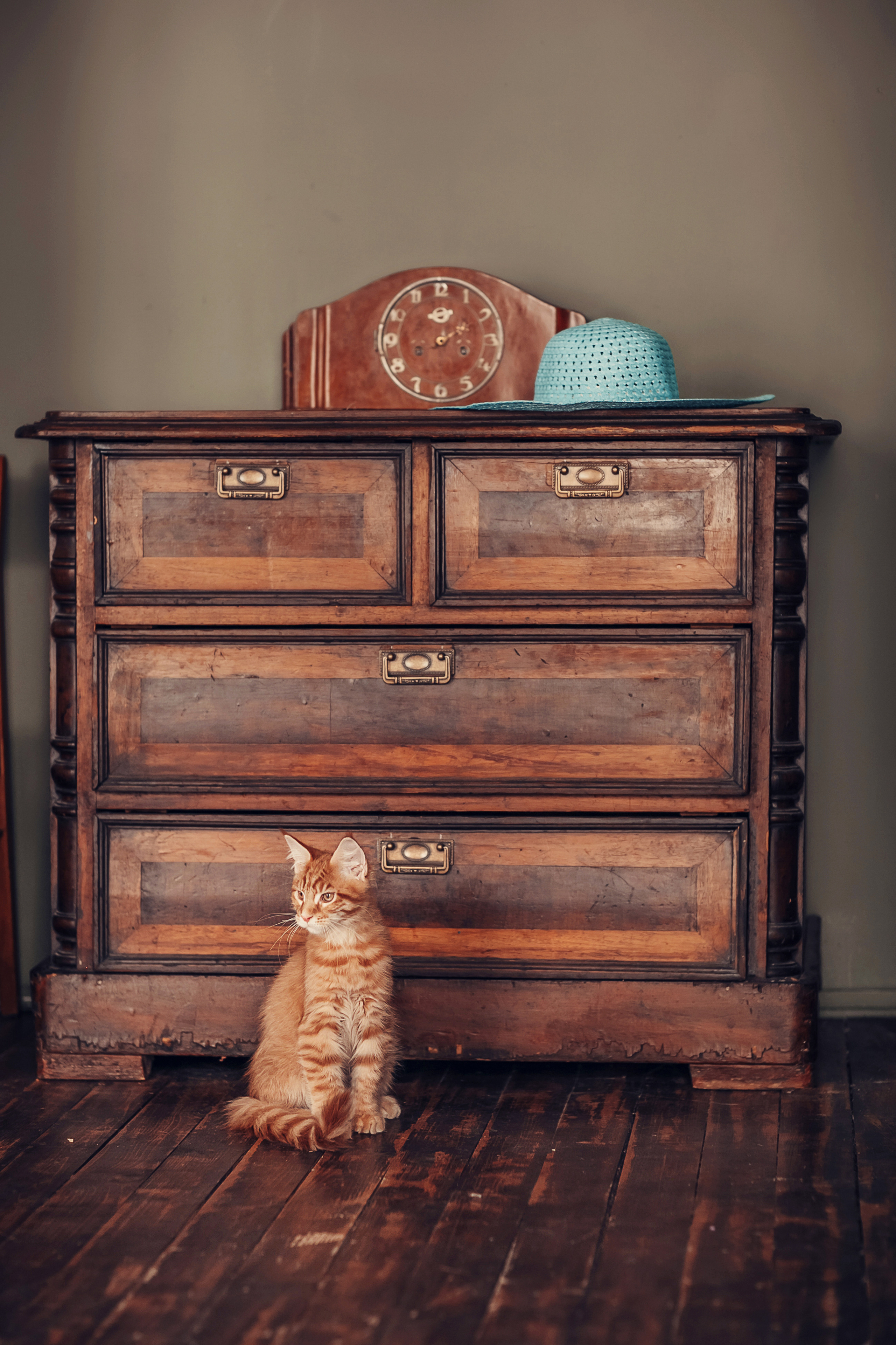 Живая Шляпа. Детский и семейный фотограф в Москве Анна Ипатьева