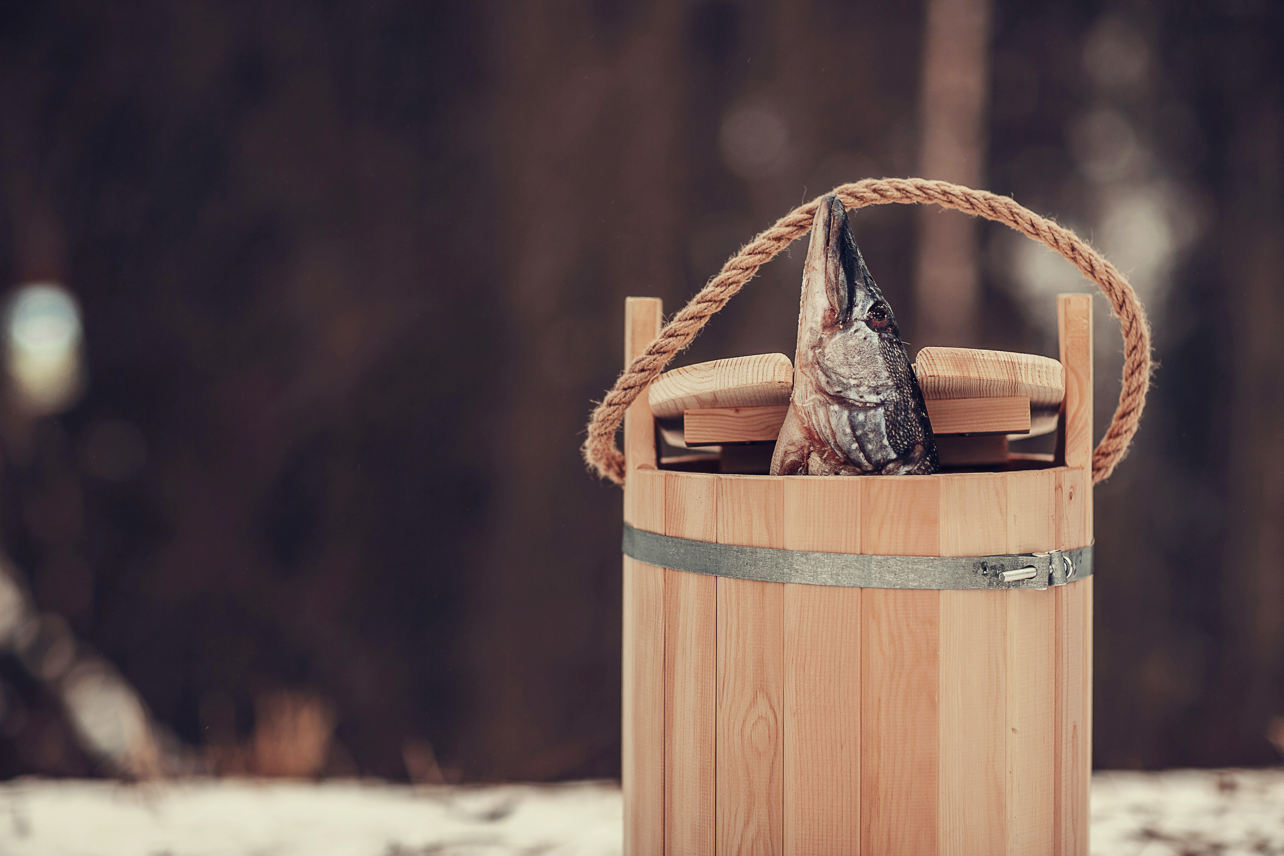 По-щучьему велению. Детский и семейный фотограф в Москве Анна Ипатьева