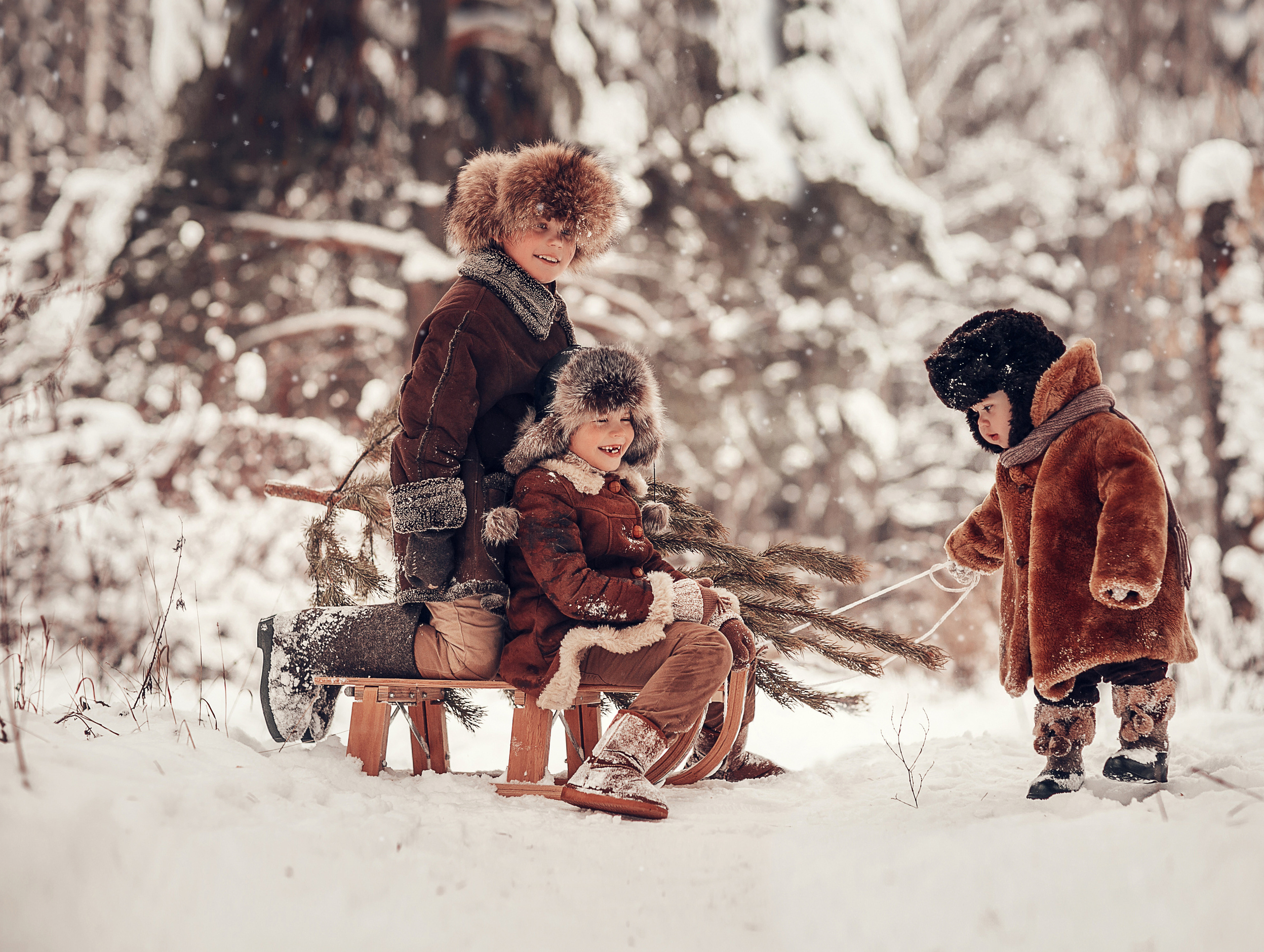 За ёлкой. Детский и семейный фотограф в Москве Анна Ипатьева