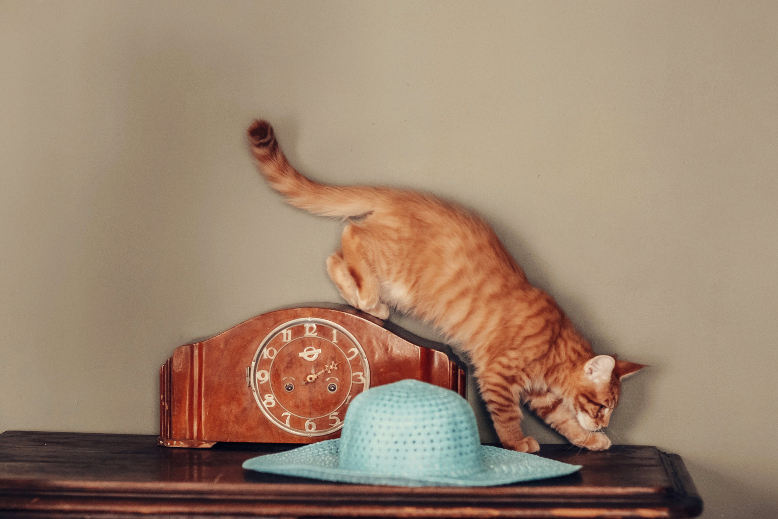 Живая Шляпа. Детский и семейный фотограф в Москве Анна Ипатьева