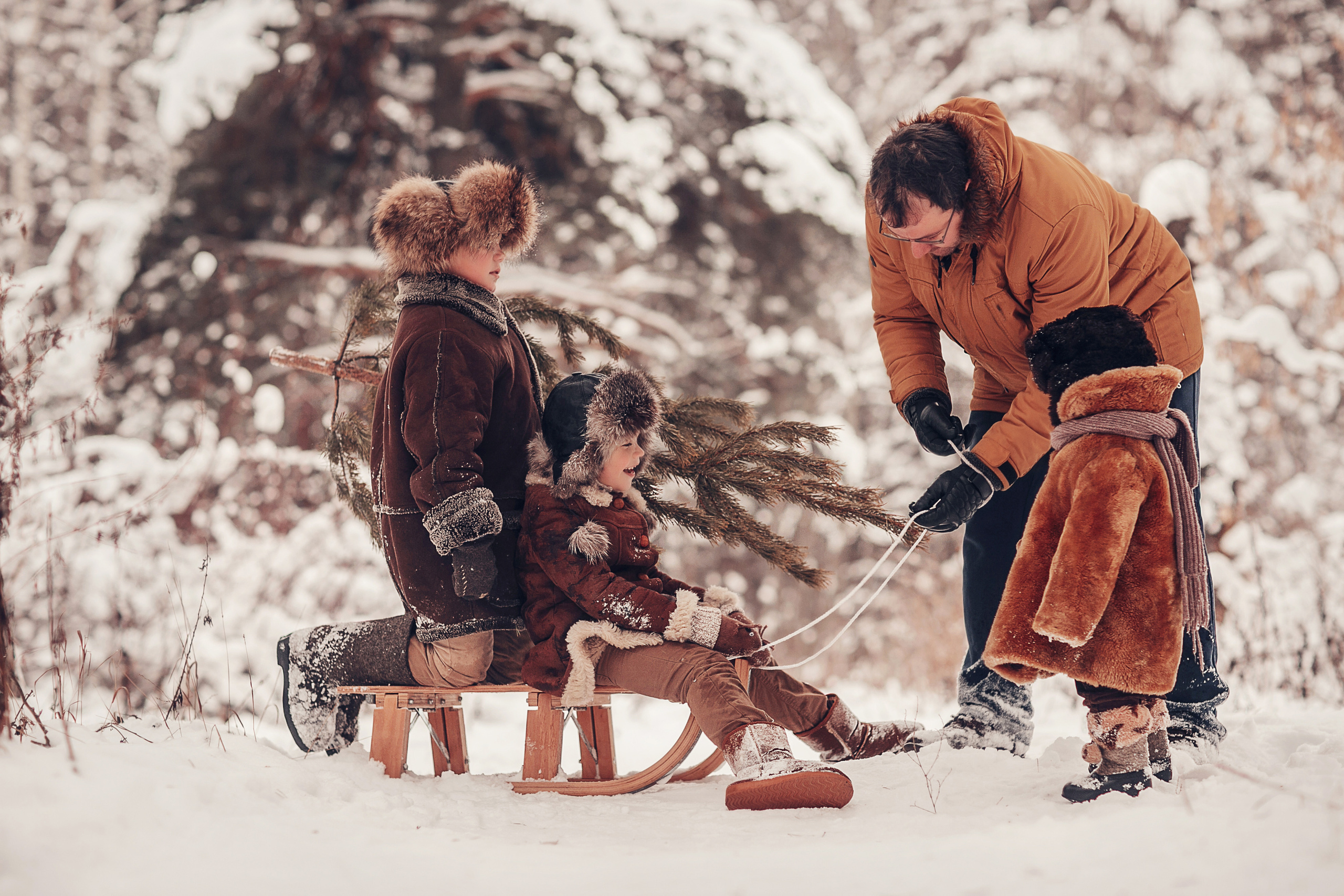 За ёлкой. Детский и семейный фотограф в Москве Анна Ипатьева