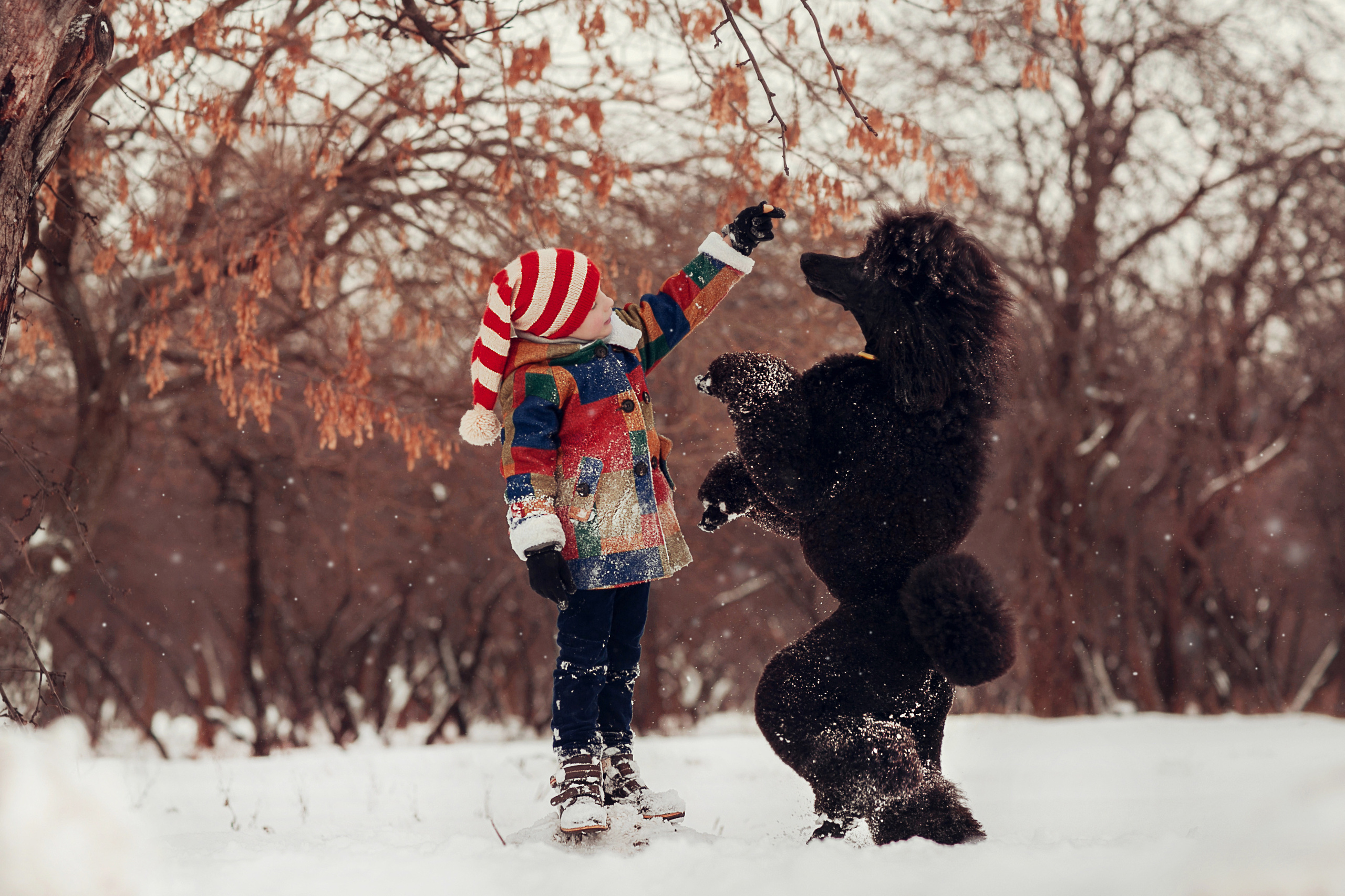 Зимний Буратино. Детский и семейный фотограф в Москве Анна Ипатьева