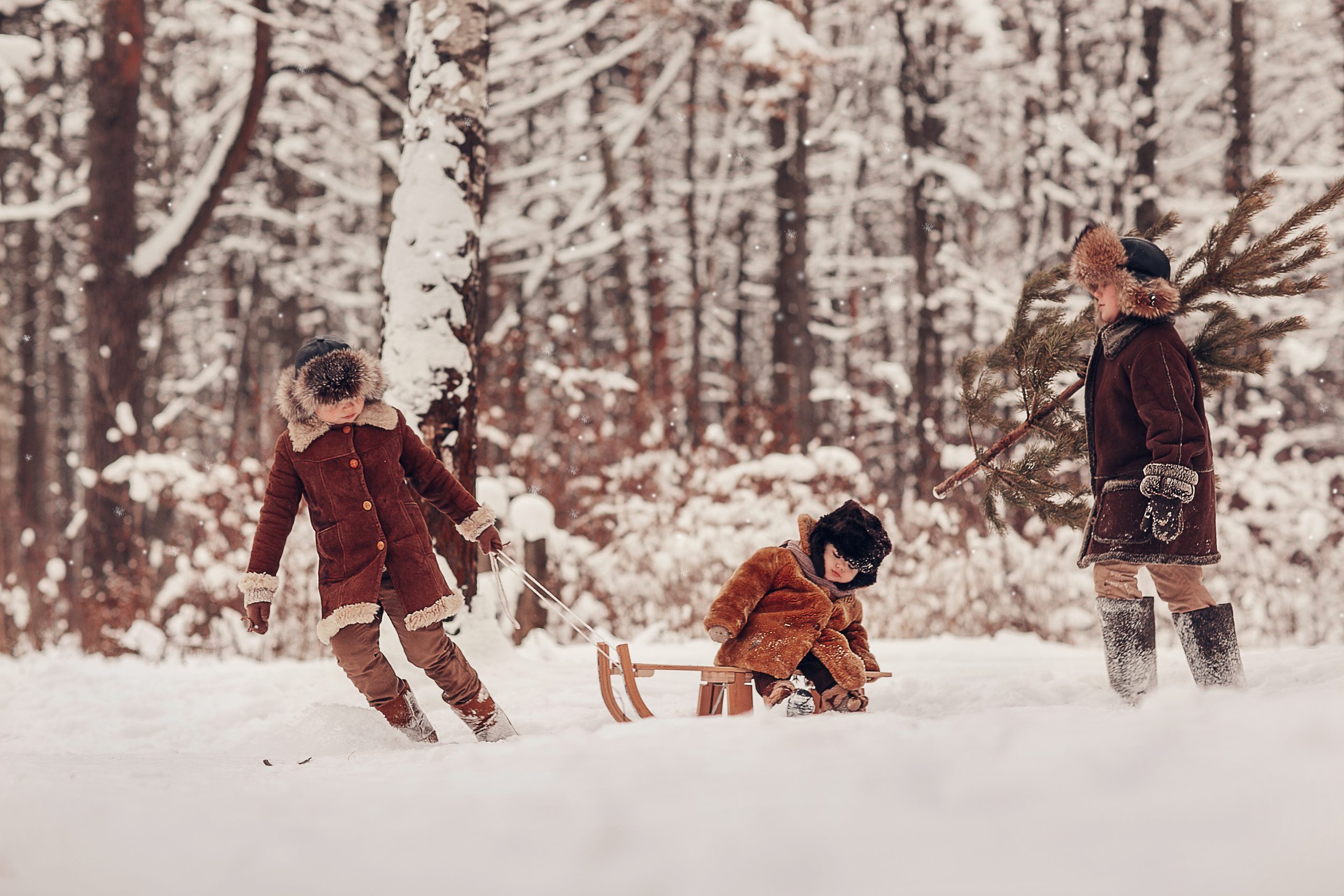 За ёлкой. Детский и семейный фотограф в Москве Анна Ипатьева