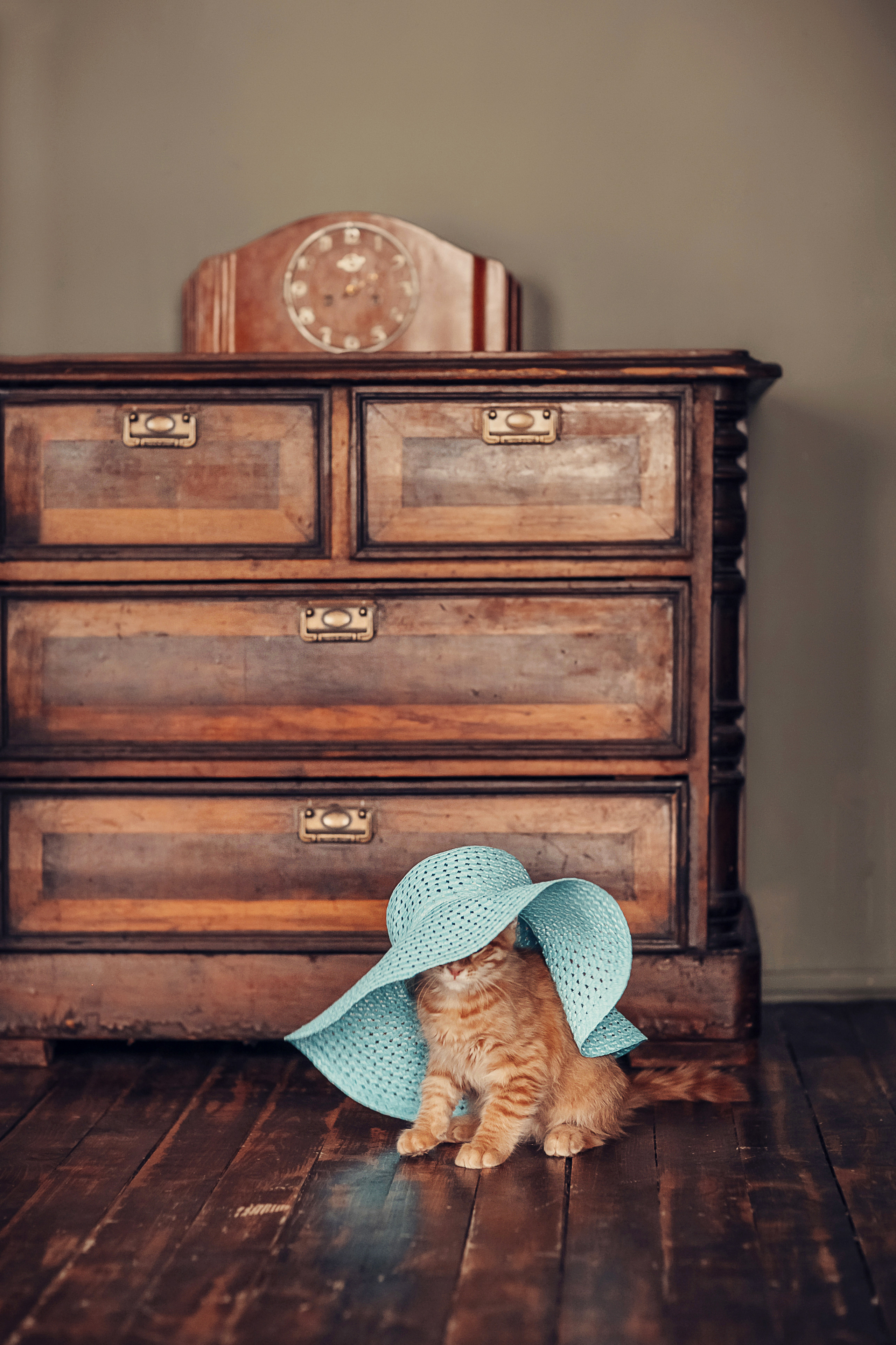 Живая Шляпа. Детский и семейный фотограф в Москве Анна Ипатьева