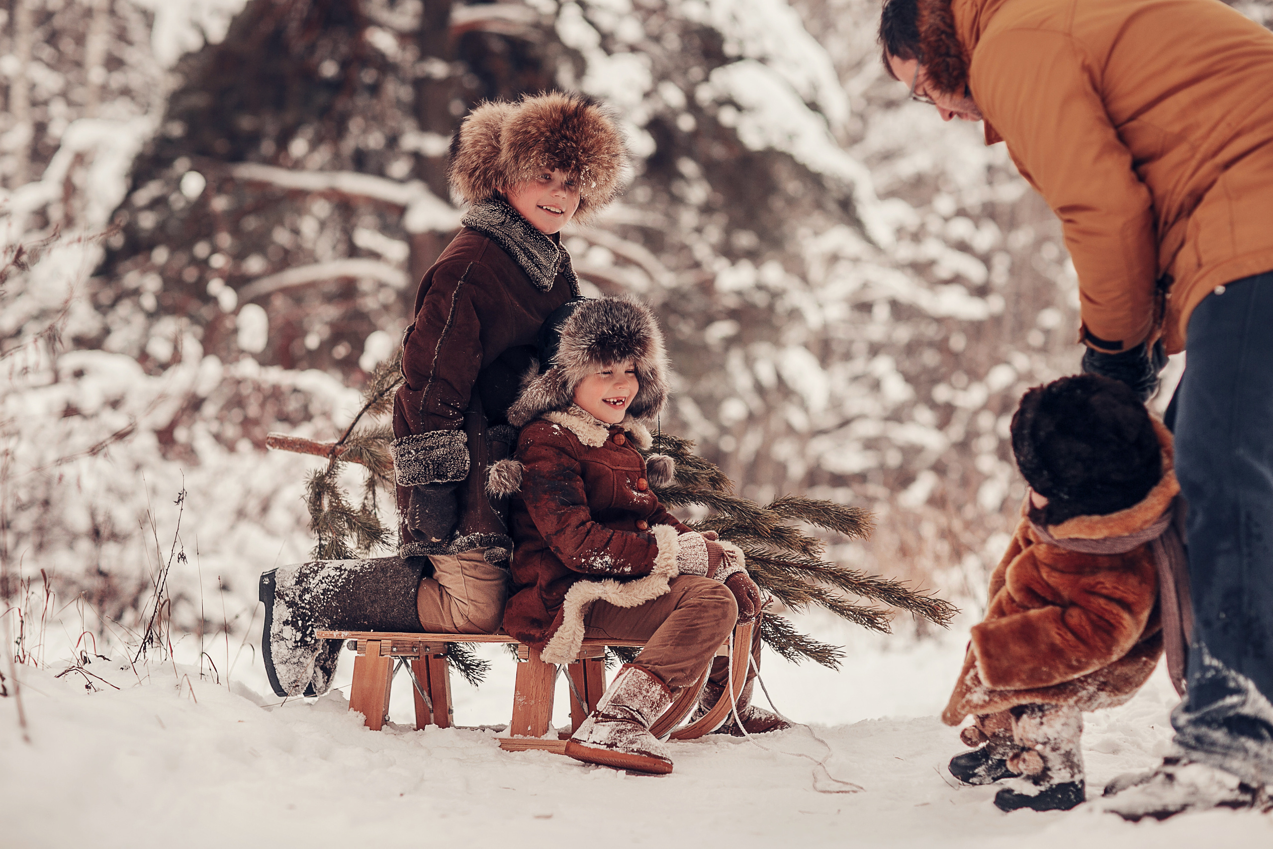 За ёлкой. Детский и семейный фотограф в Москве Анна Ипатьева