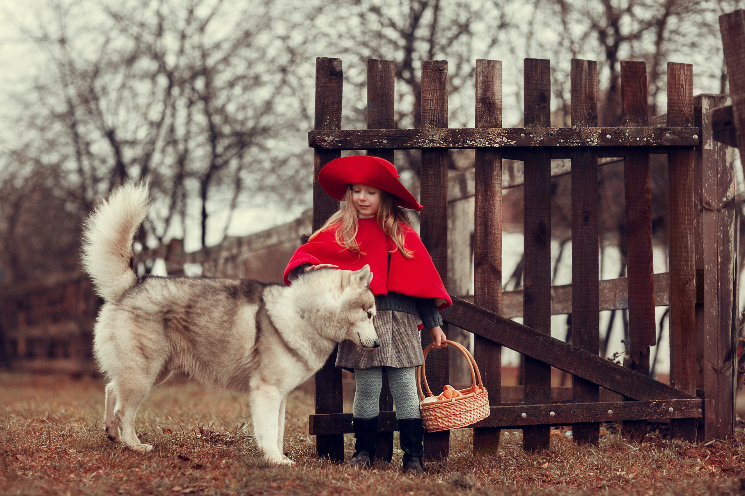 Красная Шляпочка. Детский и семейный фотограф в Москве Анна Ипатьева