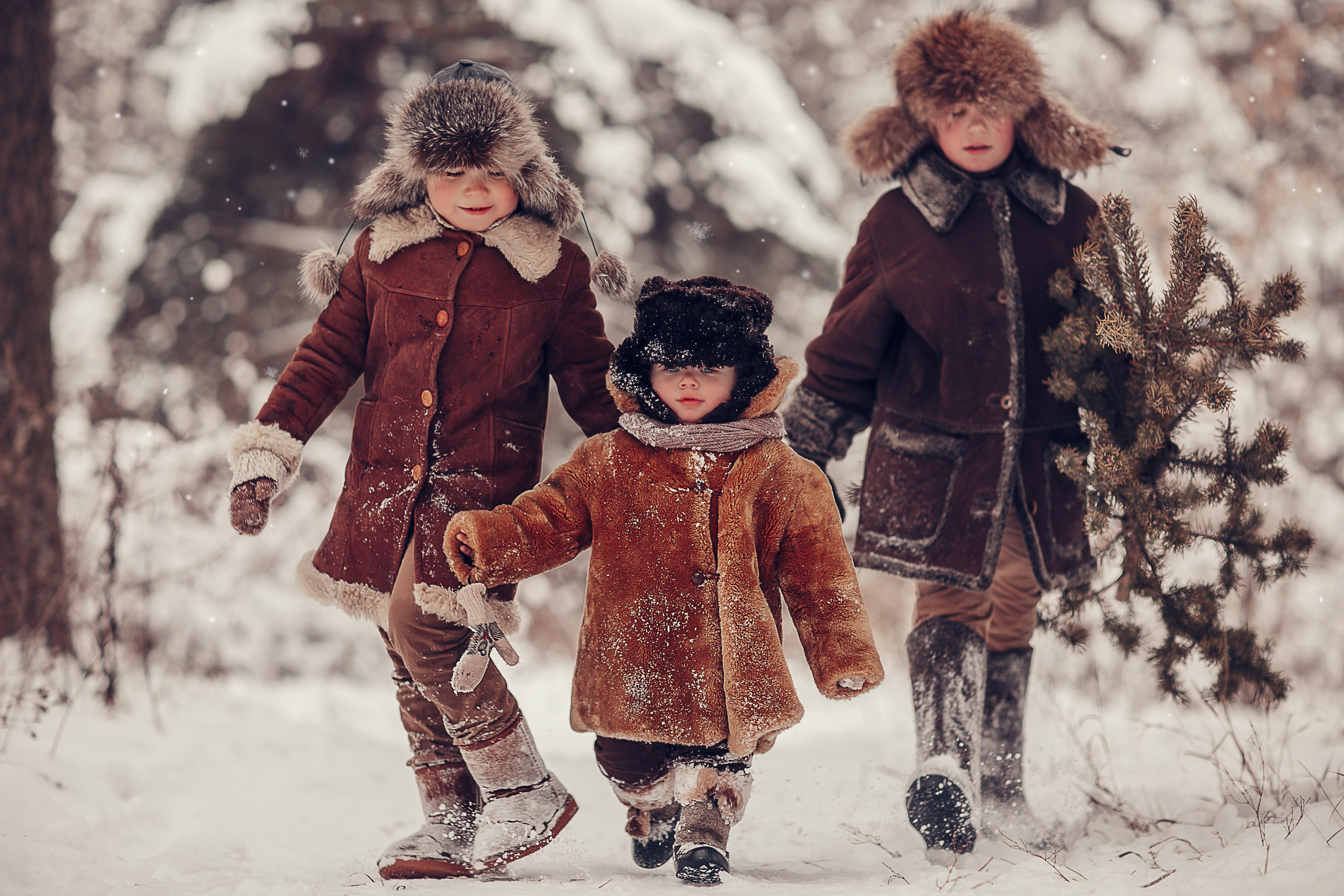 За ёлкой. Детский и семейный фотограф в Москве Анна Ипатьева