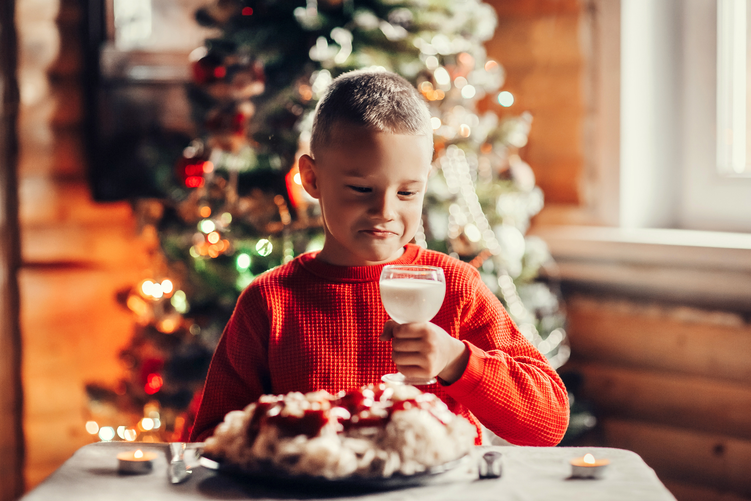 Home alone. Детский и семейный фотограф в Москве Анна Ипатьева