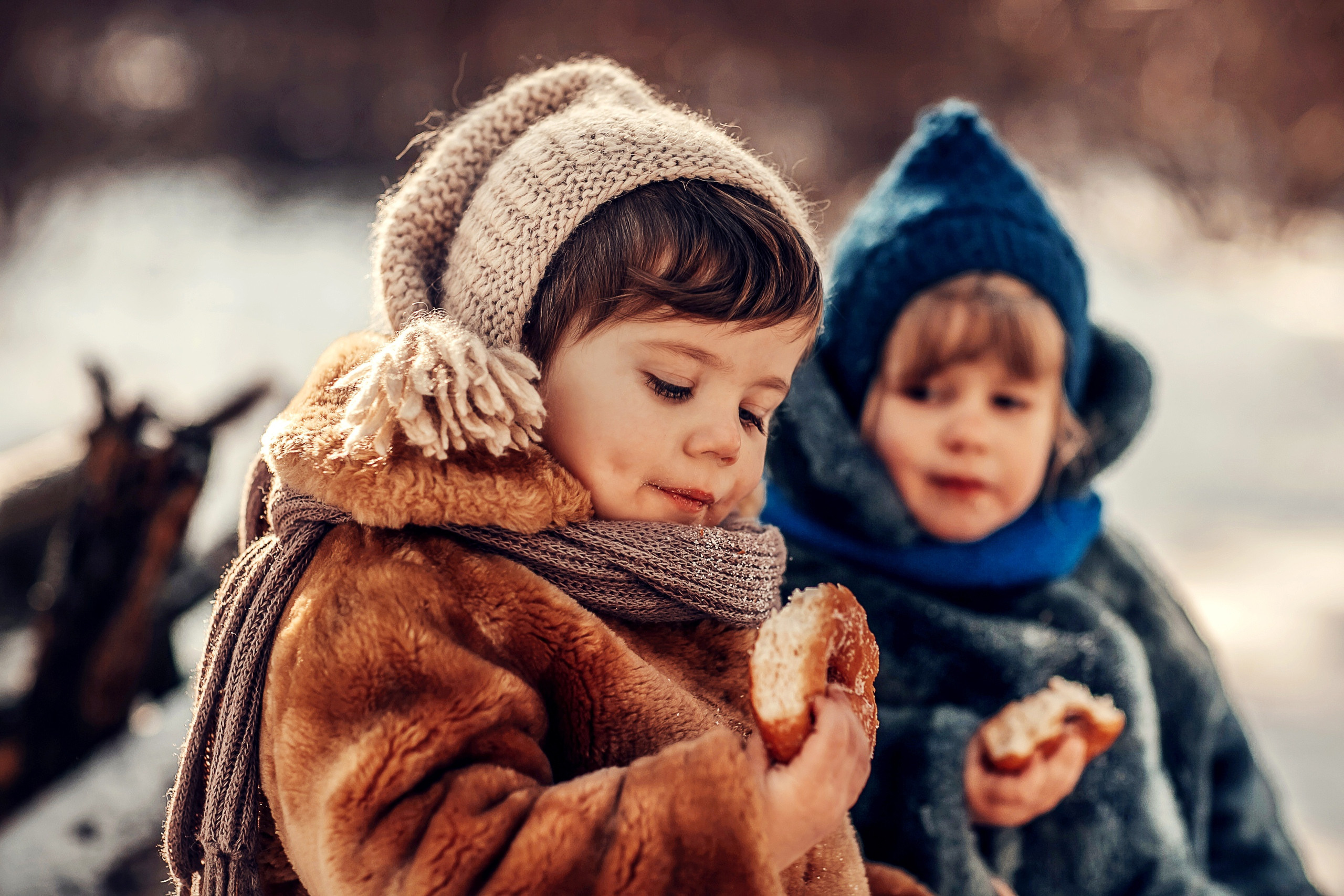 Скворечники. Детский и семейный фотограф в Москве Анна Ипатьева
