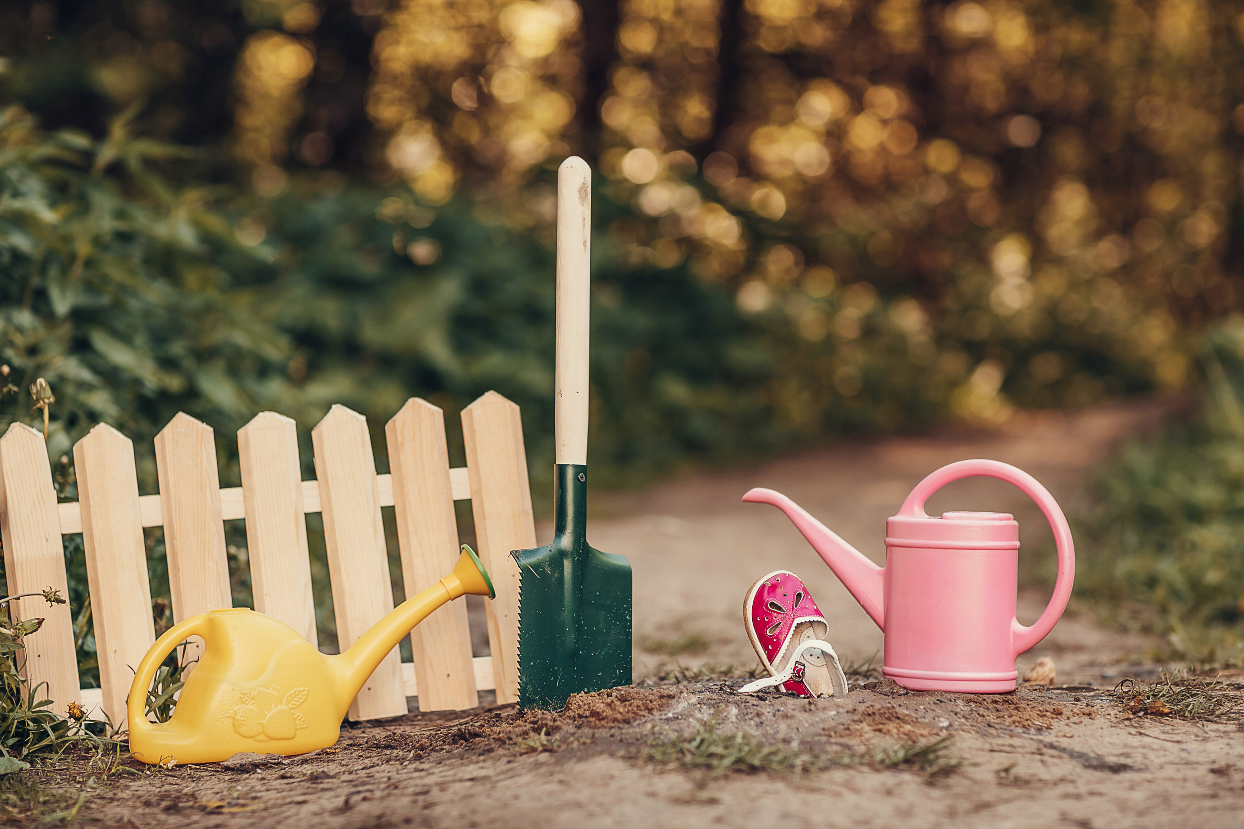 Чудо-дерево. Детский и семейный фотограф в Москве Анна Ипатьева