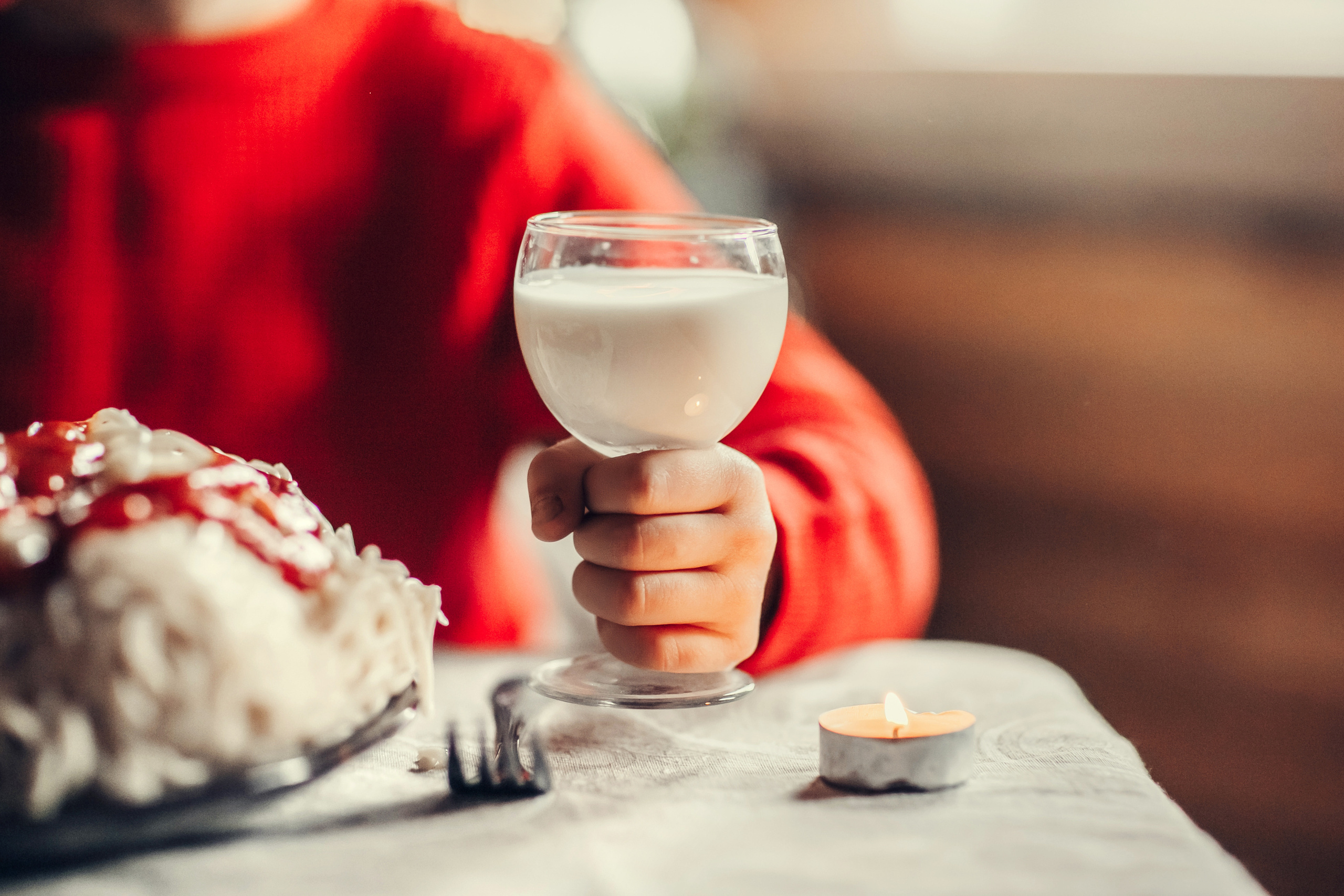 Home alone. Детский и семейный фотограф в Москве Анна Ипатьева