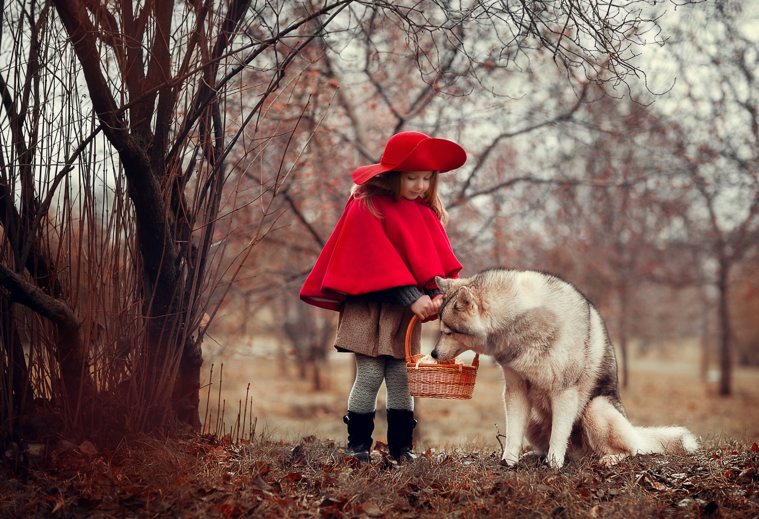 Красная Шляпочка. Детский и семейный фотограф в Москве Анна Ипатьева
