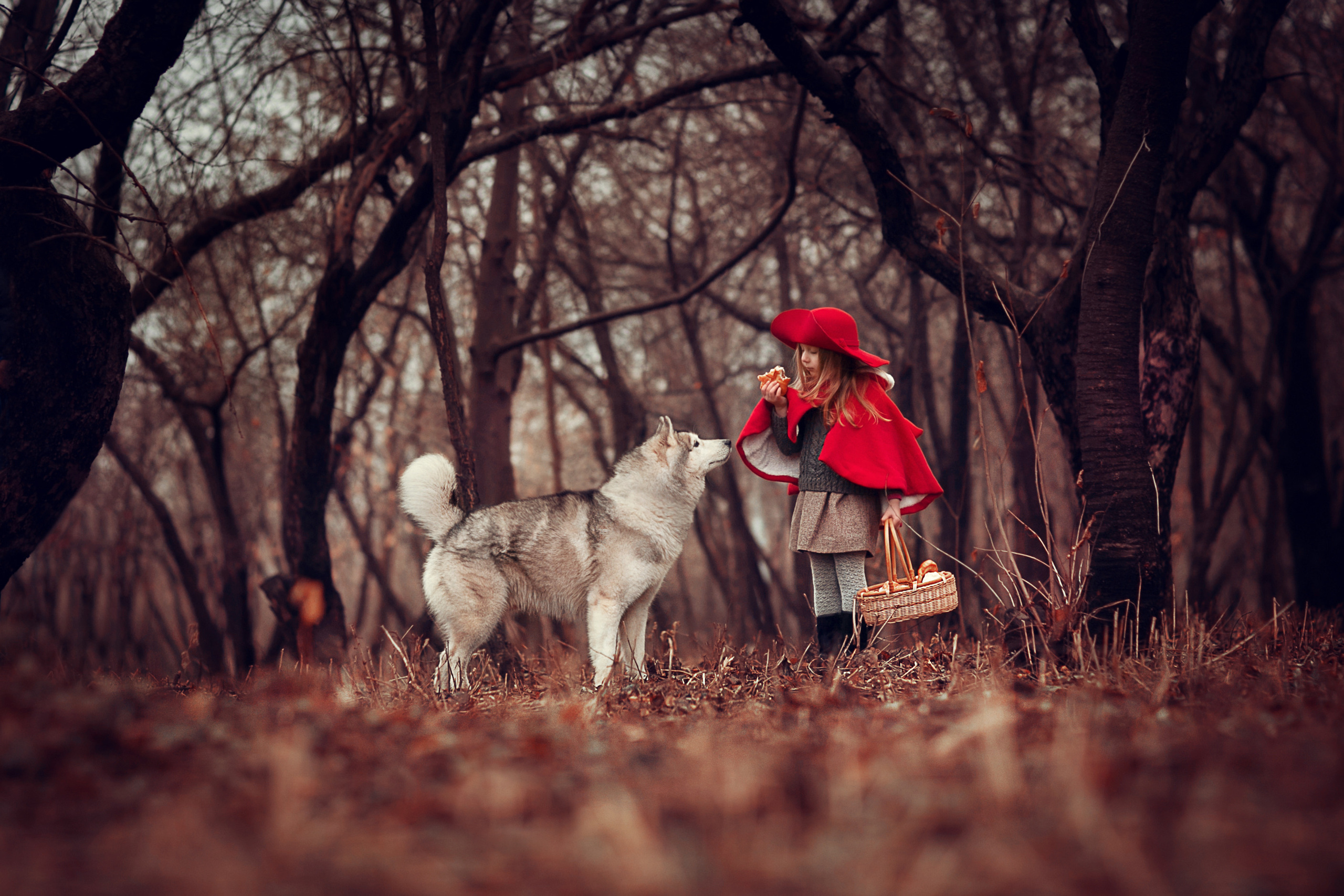 Красная Шляпочка. Детский и семейный фотограф в Москве Анна Ипатьева